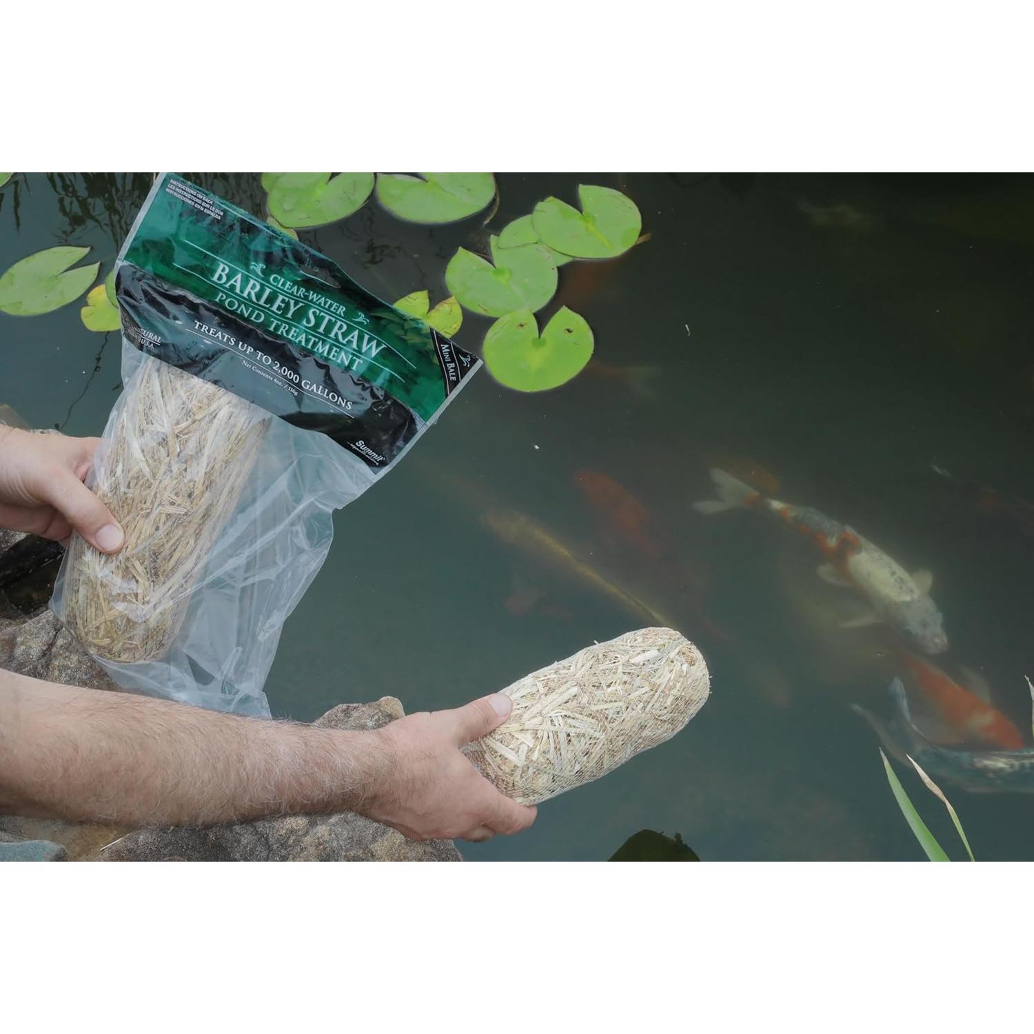 Tratamiento de paja de cebada Summit Clear-Water, 2 fardos