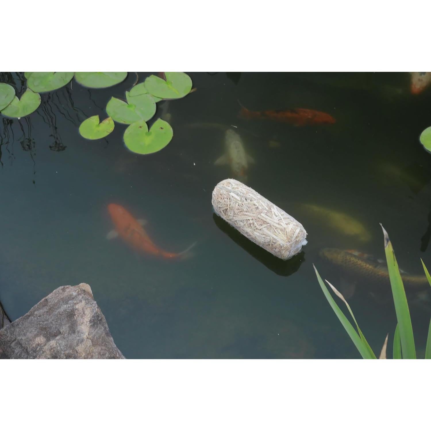 Tratamiento de paja de cebada Summit Clear-Water, 2 fardos