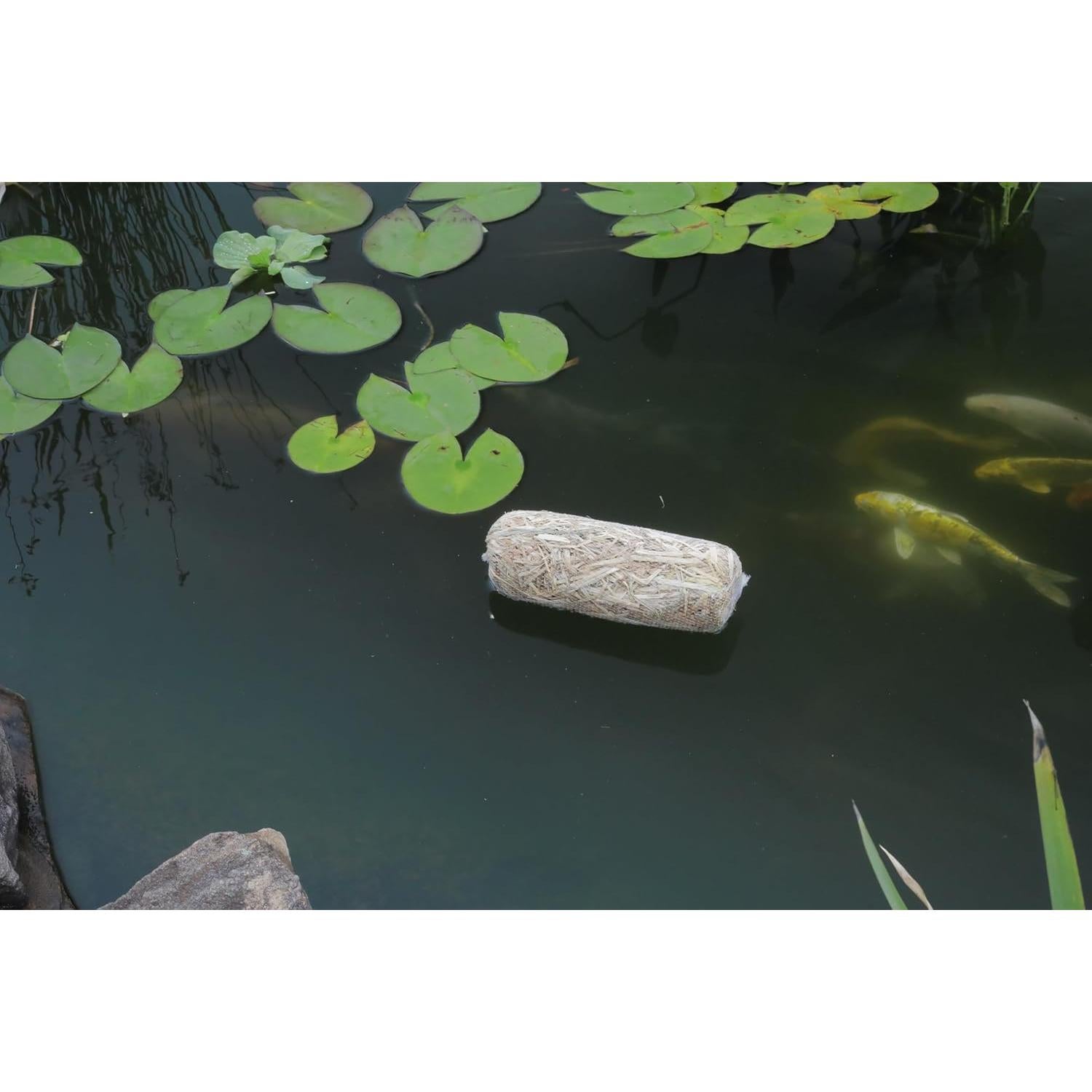 Tratamiento de paja de cebada Summit Clear-Water, 2 fardos