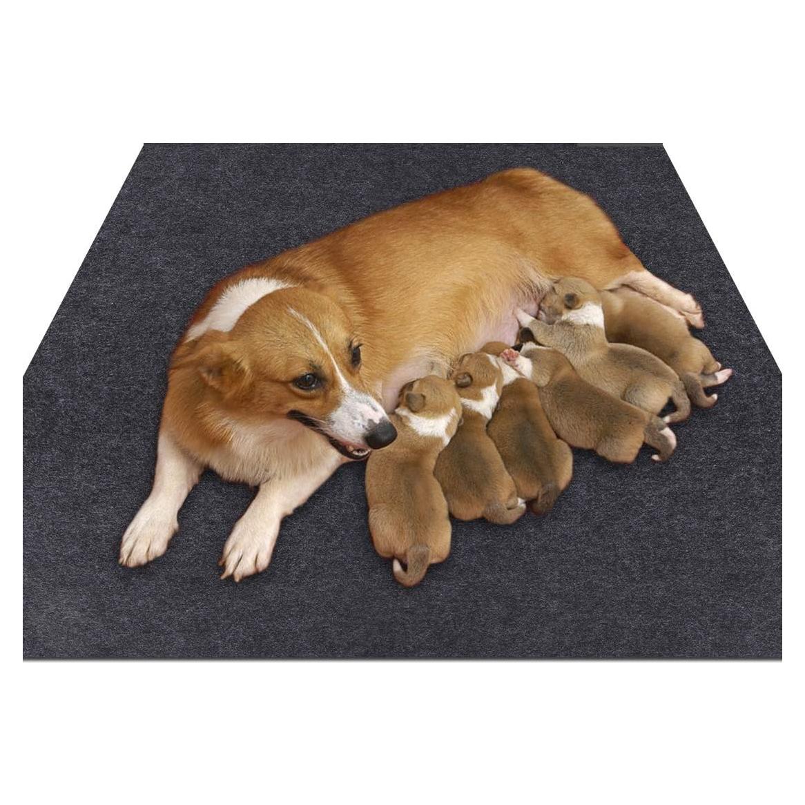 Alfombrilla Absorbente para Mascotas Sszhen 91x60 cm Lavable