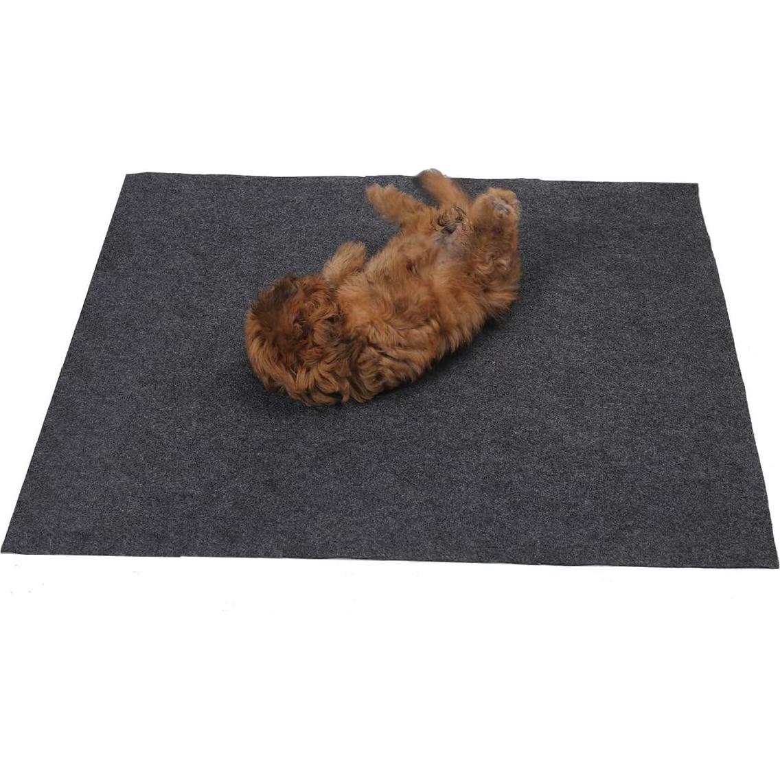 Alfombrilla Absorbente para Mascotas Sszhen 91x60 cm Lavable
