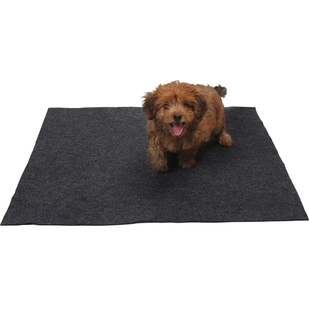 Alfombrilla Absorbente para Mascotas Sszhen 91x60 cm Lavable