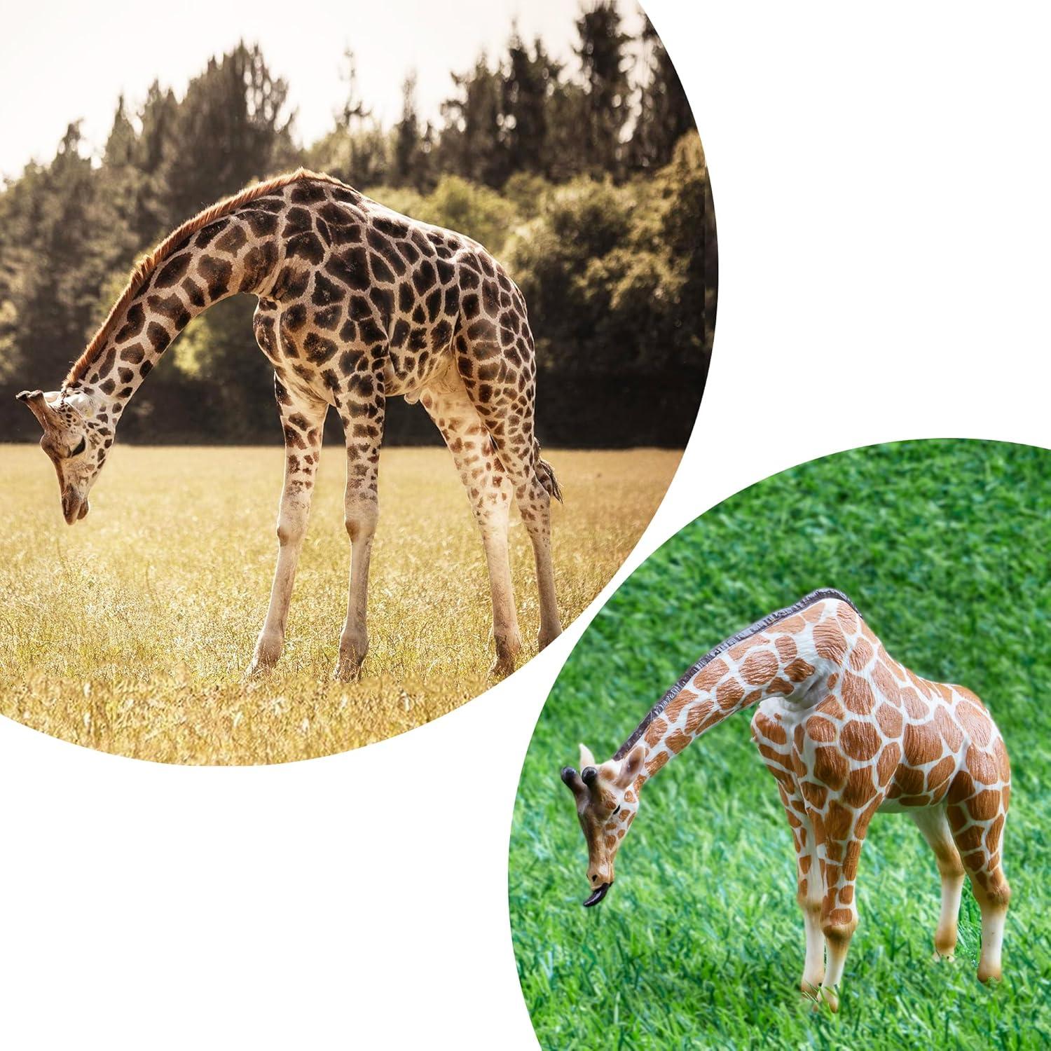 Juego de Figuras de Jirafa EYSCOTA 4 PCS Realistas