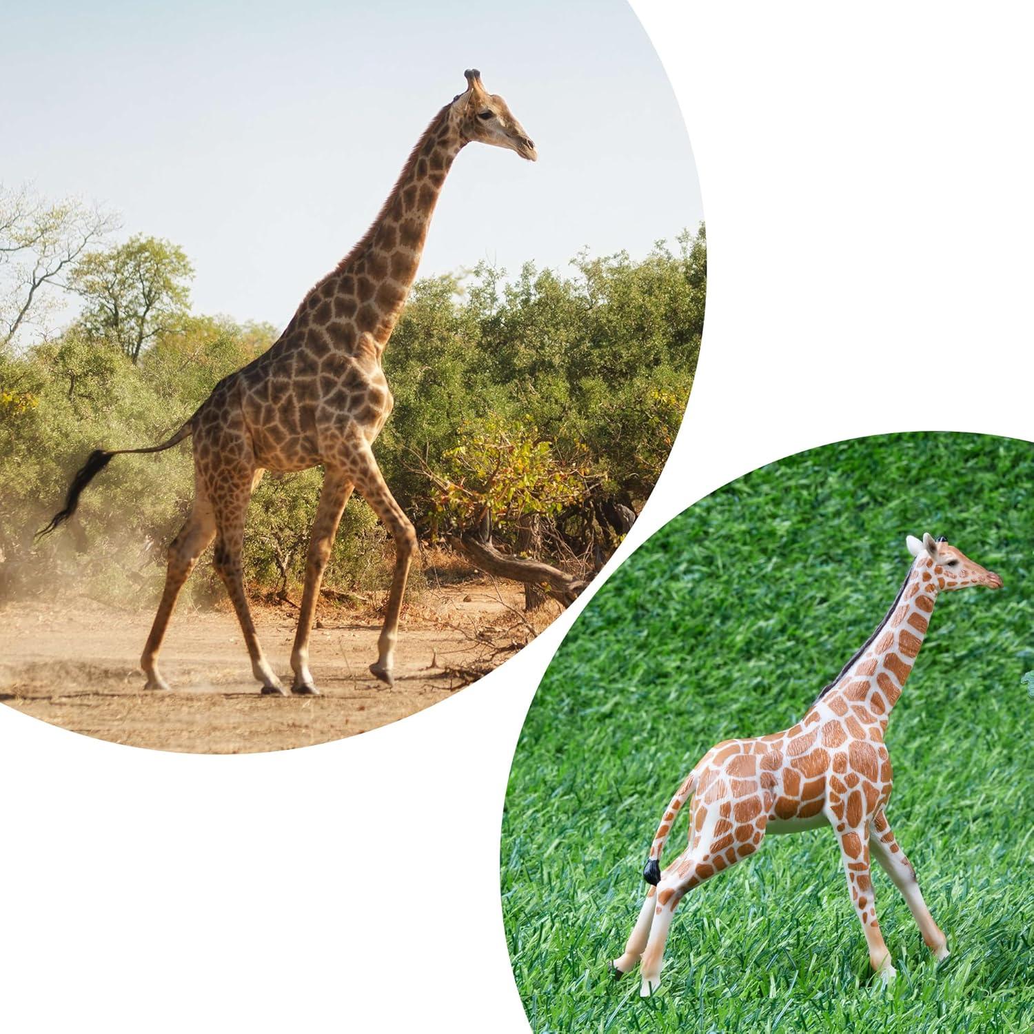 Juego de Figuras de Jirafa EYSCOTA 4 PCS Realistas