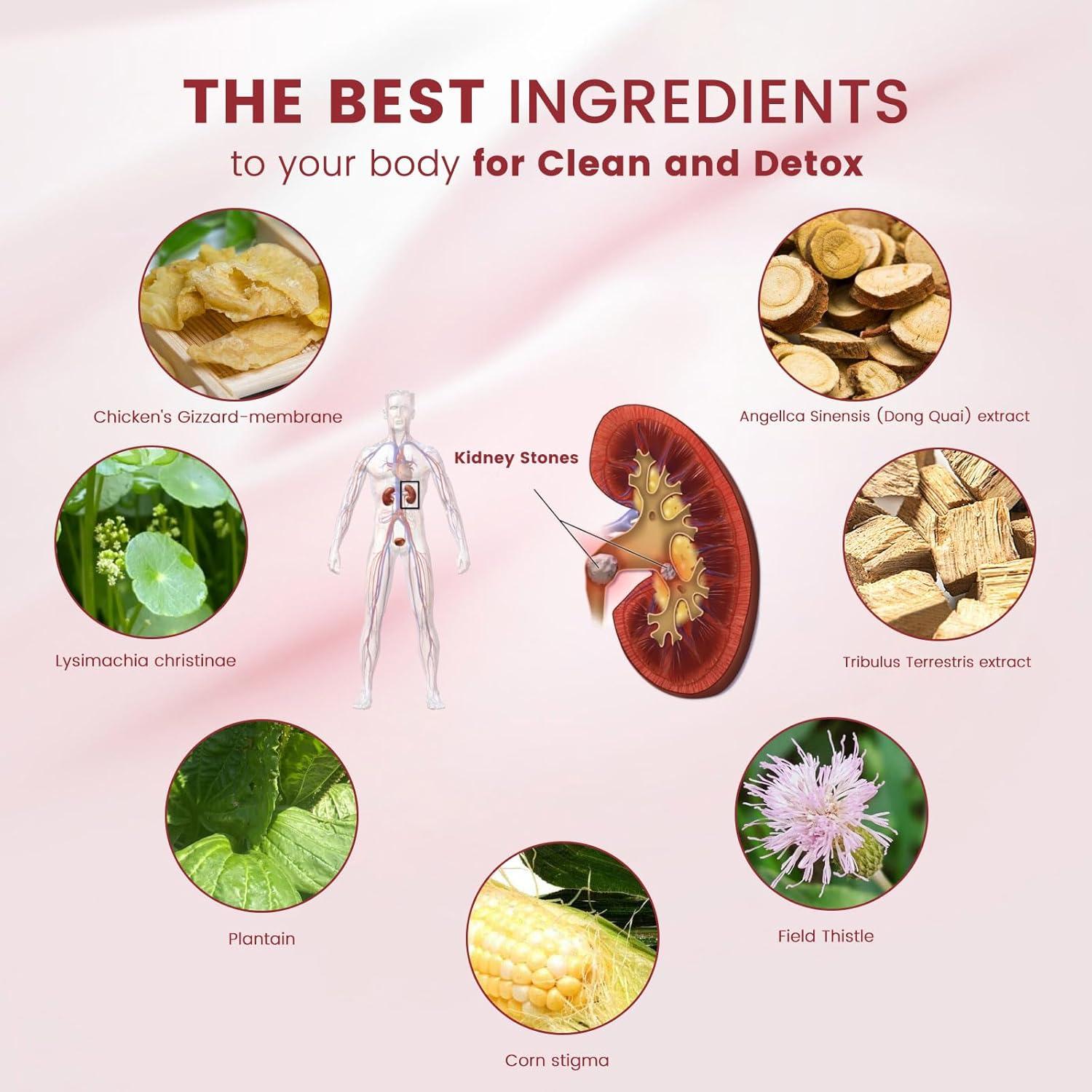 Tabletas de Limpieza de Riñones Wansongtang - 60 Unidades