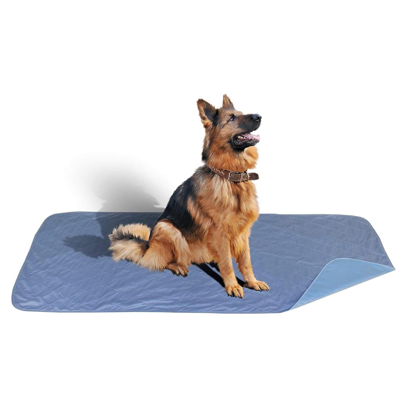 Almohadilla Lavable Careoutfit XXL 91x182cm Absorbente Impermeable