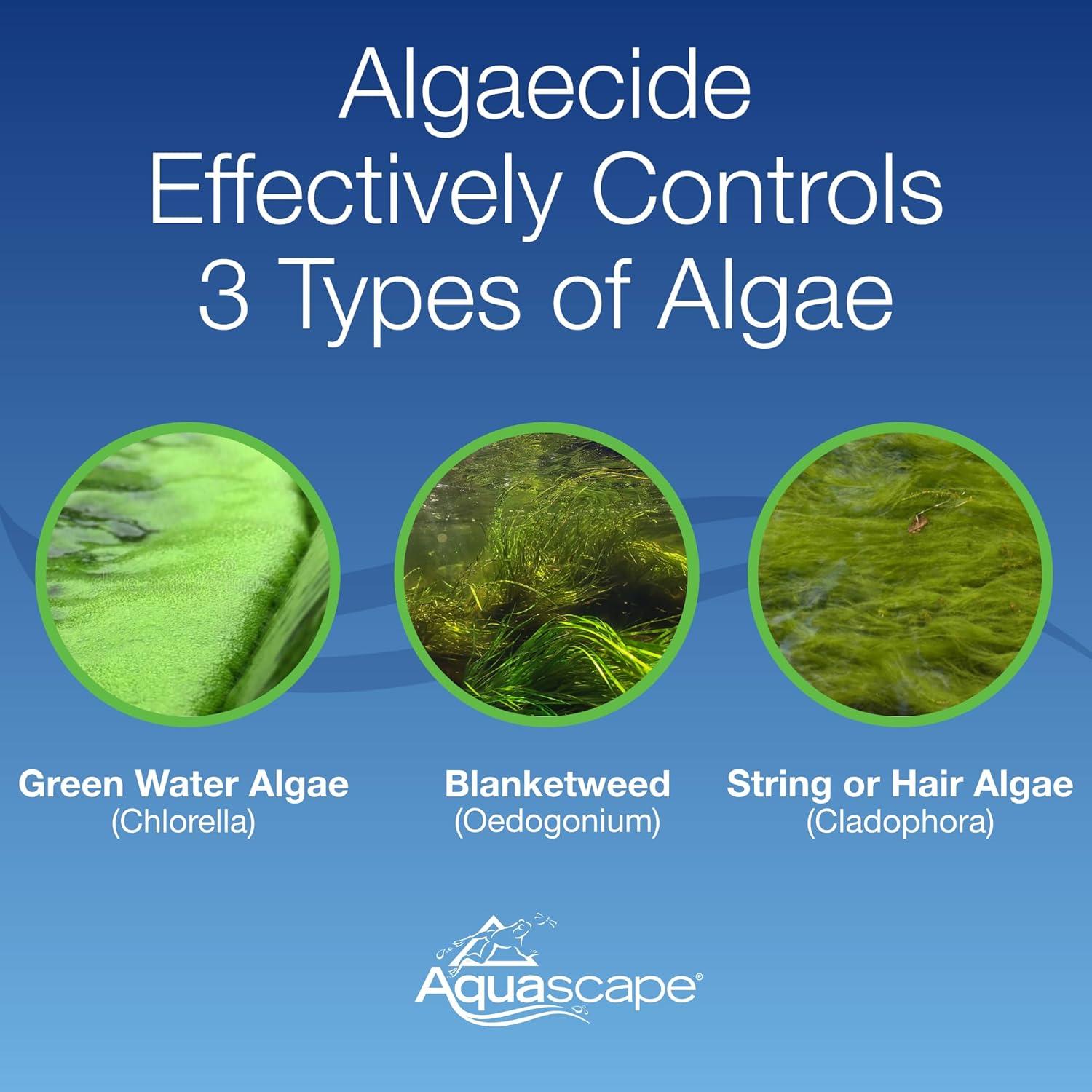 Algaecida Aquascape 32 oz - Control Rápido de Algas para Estanques