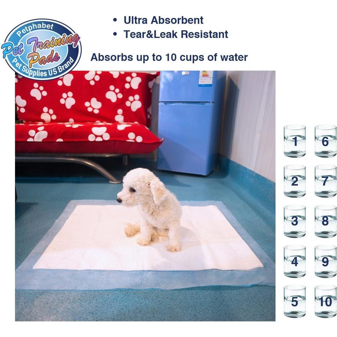 Alfombrillas Ultra Absorbentes para Cachorros Petphabet XXL 42 Pzas