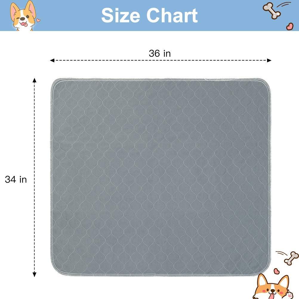 KOOLTAIL Almohadillas Lavables para Perros 91x86 cm - 2 Piezas