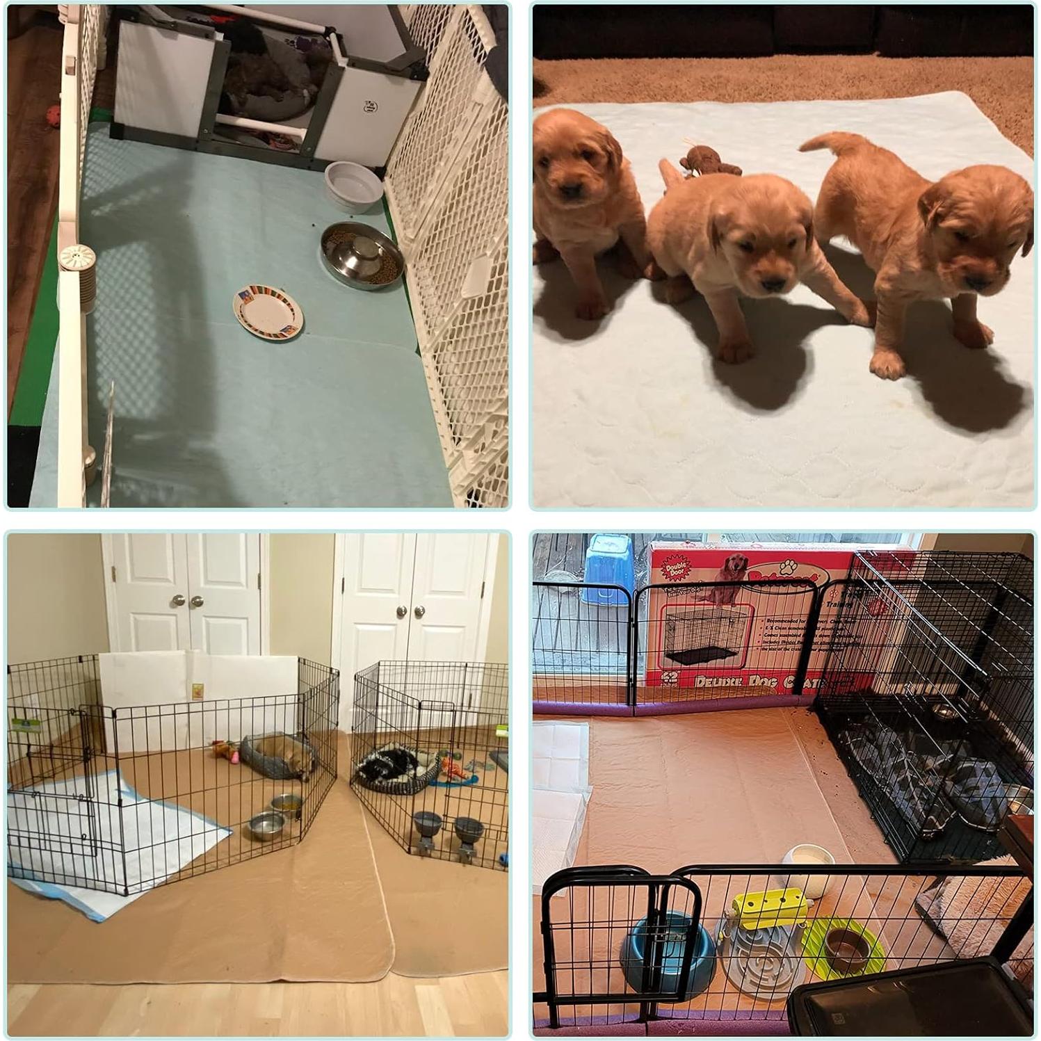 KOOLTAIL Almohadillas Lavables para Perros 91x86 cm - 2 Piezas