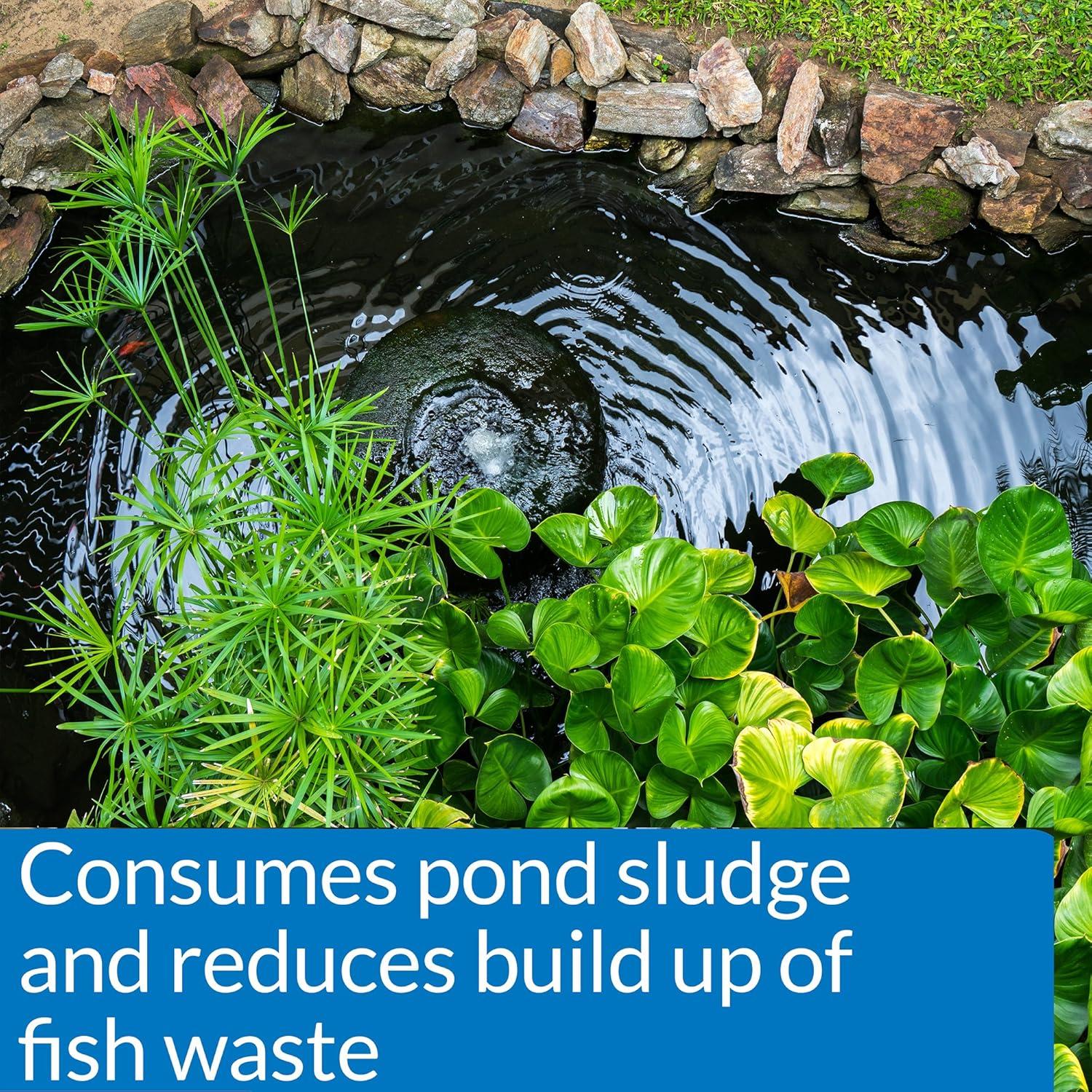 API POND SIMPLY CLEAR Clarificador de Agua de Estanque 480ml