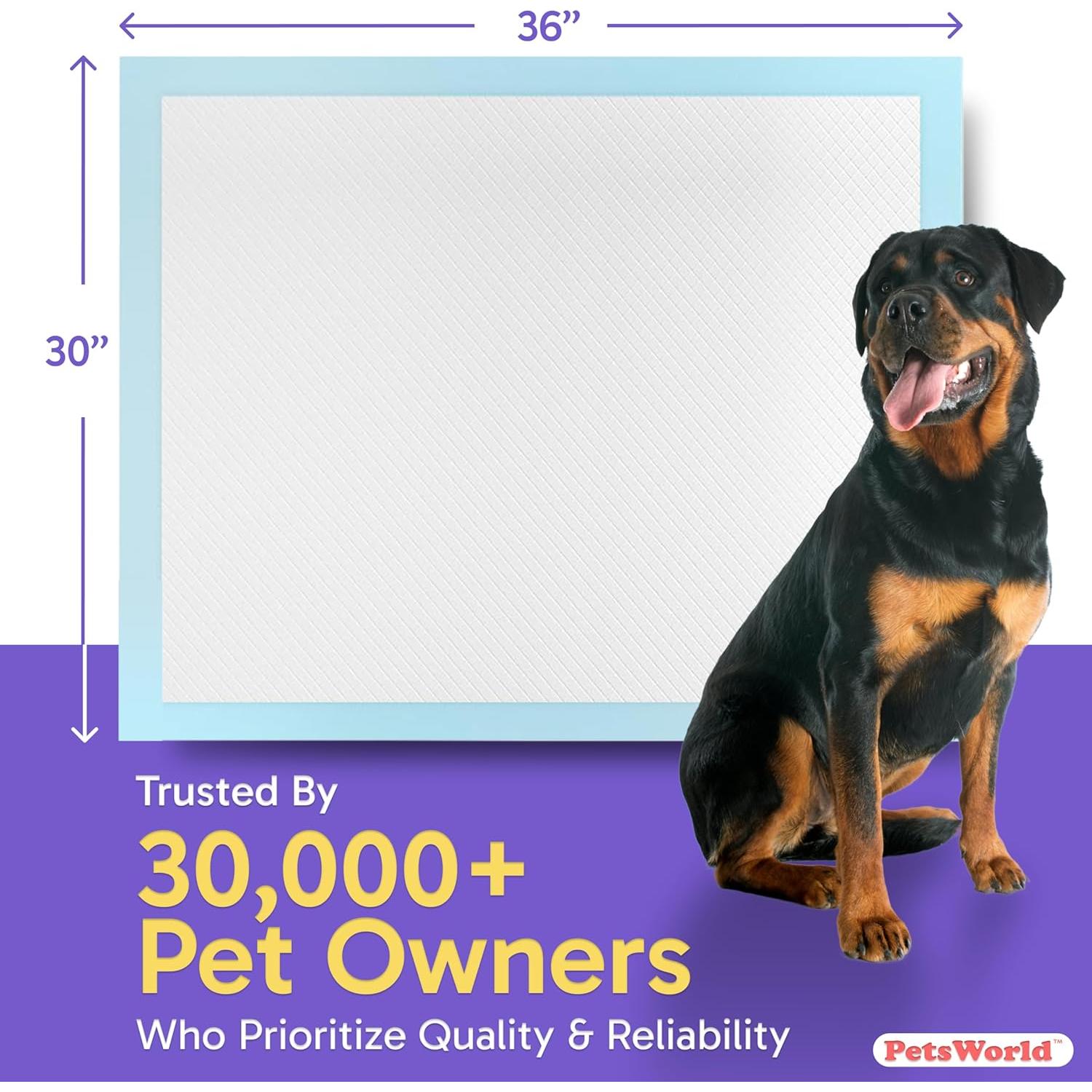 Almohadillas para Perros Extra Grandes PetsWorld 76x91 cm 50 Unidades