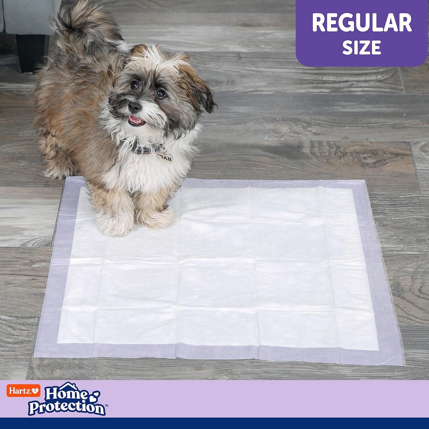 Almohadillas para Perros Hartz Home Protection 100 Unidades Lavanda