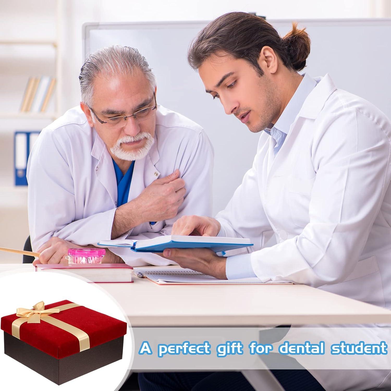 Modelo de Dientes Patológicos Rosa Outus para Educación Dental