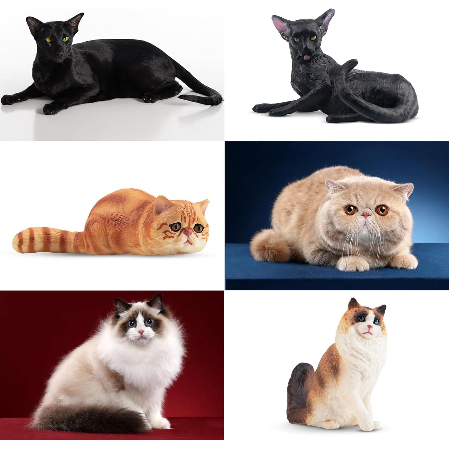12 Figuras de Gato Realistas EYSCOTA Juguete Decorativo