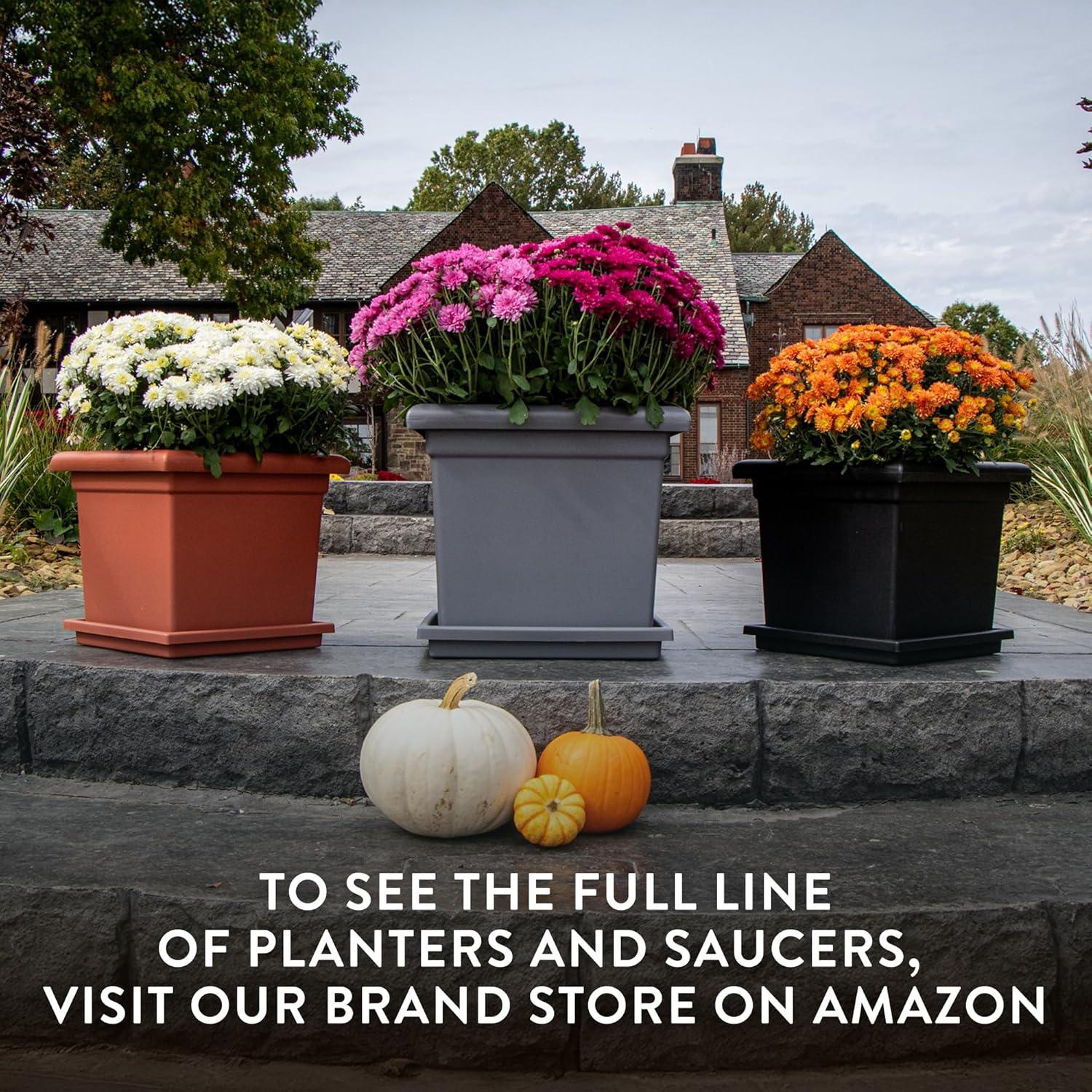 Plato Cuadrado para Maceta The HC Companies 28 cm Negro