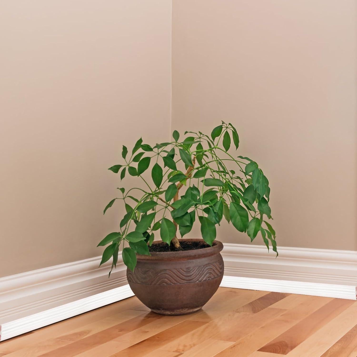 Moldura de Pared Autoadhesiva Cididu 5m x 3.81cm Flexible