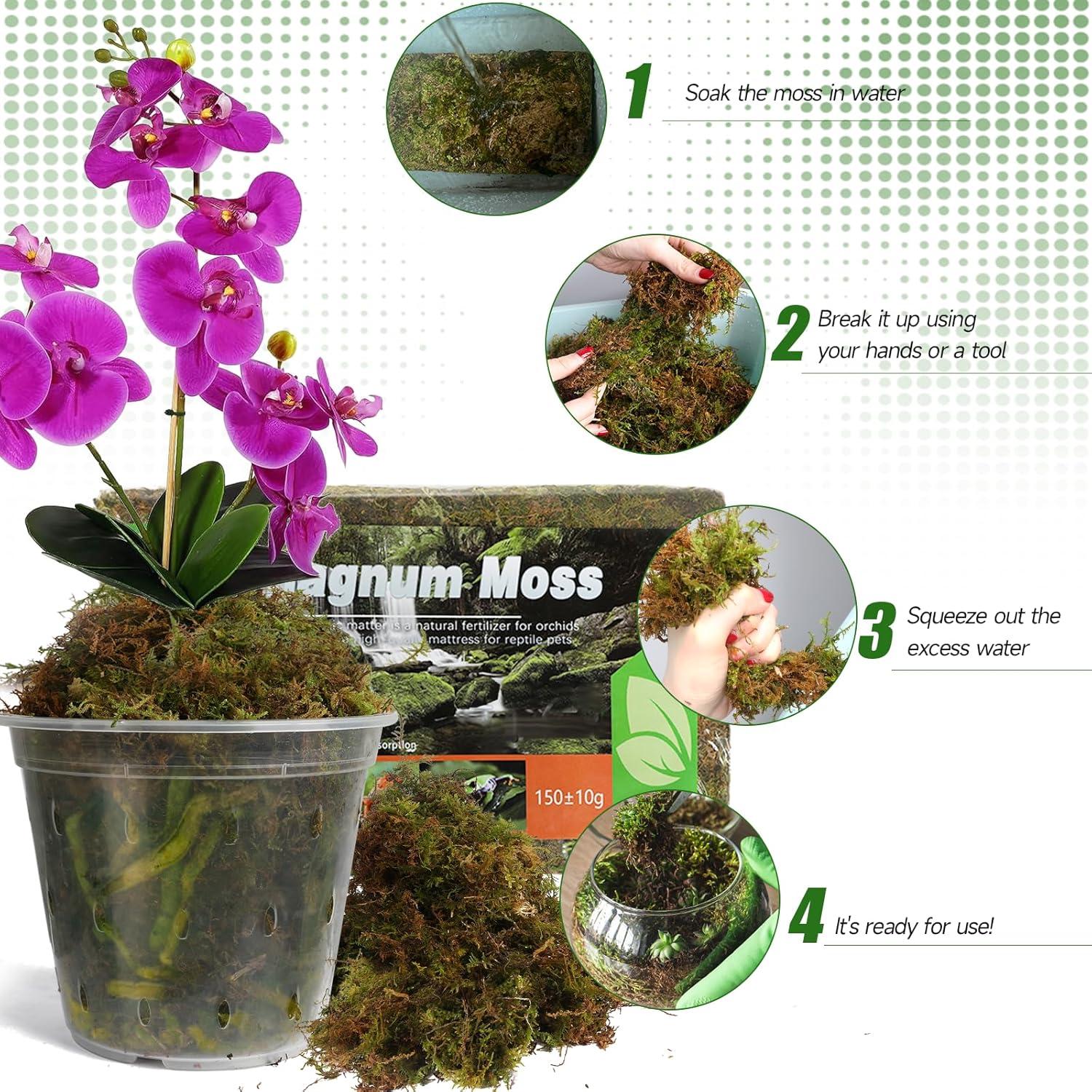 Musgo Sphagnum Seco Natural Doter 1 Paquete 5 qt