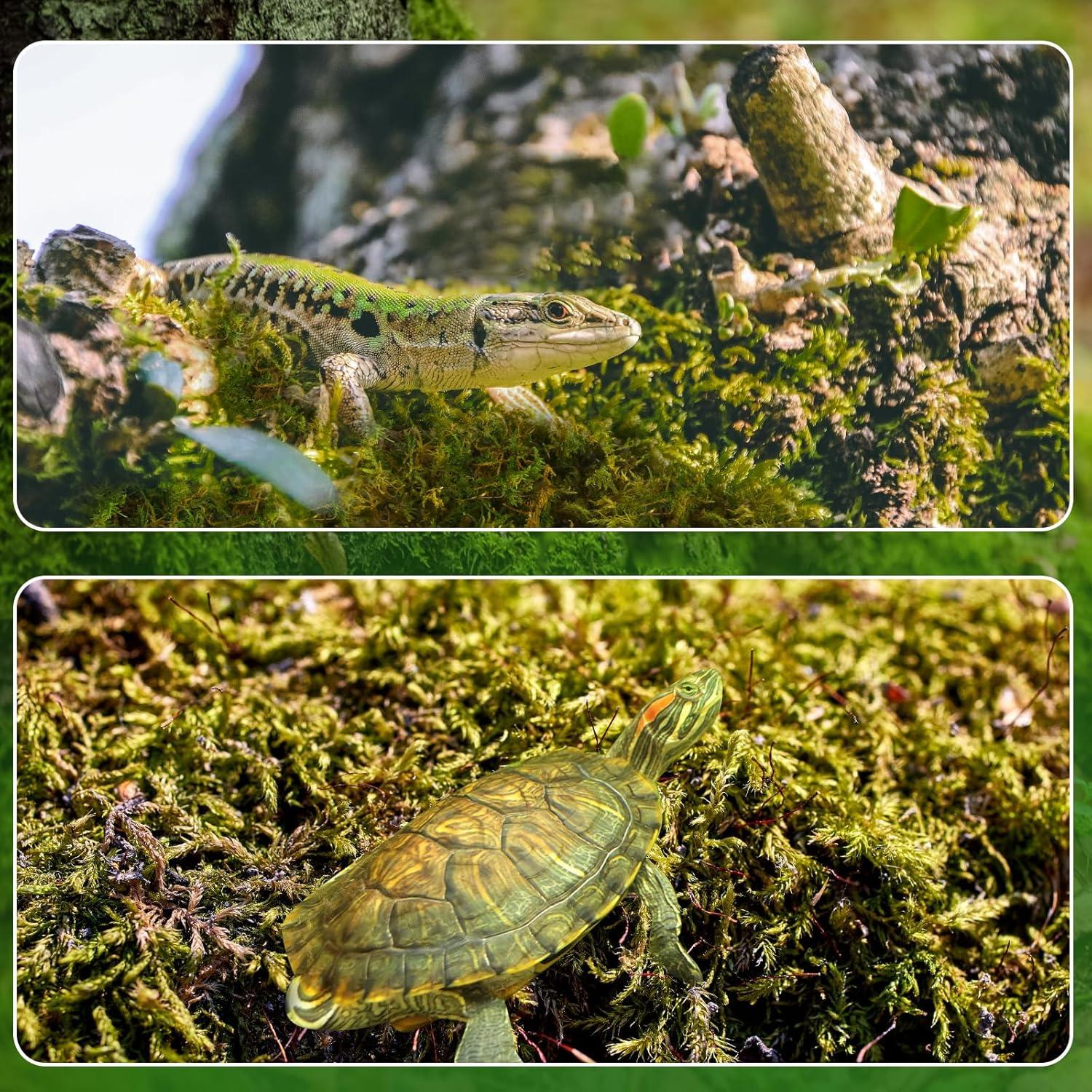 Musgo Sphagnum Seco Natural Doter 1 Paquete 5 qt