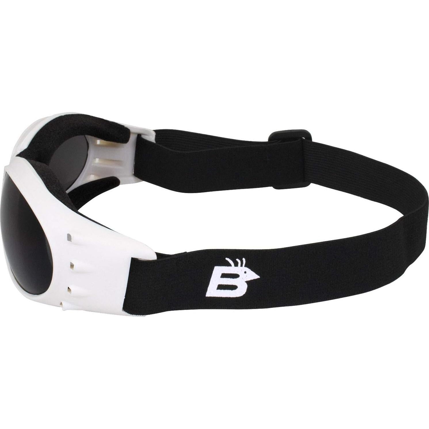 Gafas de Protección Birdz Eyewear Eagle para Motocicleta y Paracaidismo - 2 Pares