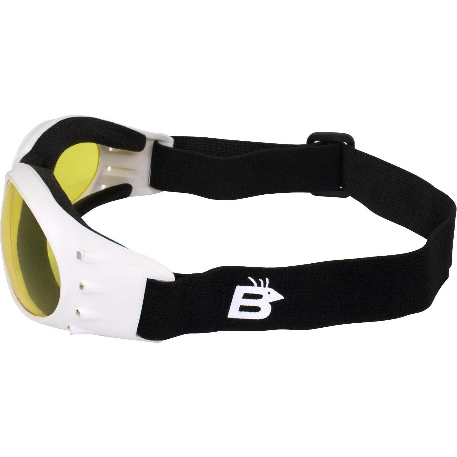 Gafas de Protección Birdz Eyewear Eagle para Motocicleta y Paracaidismo - 2 Pares