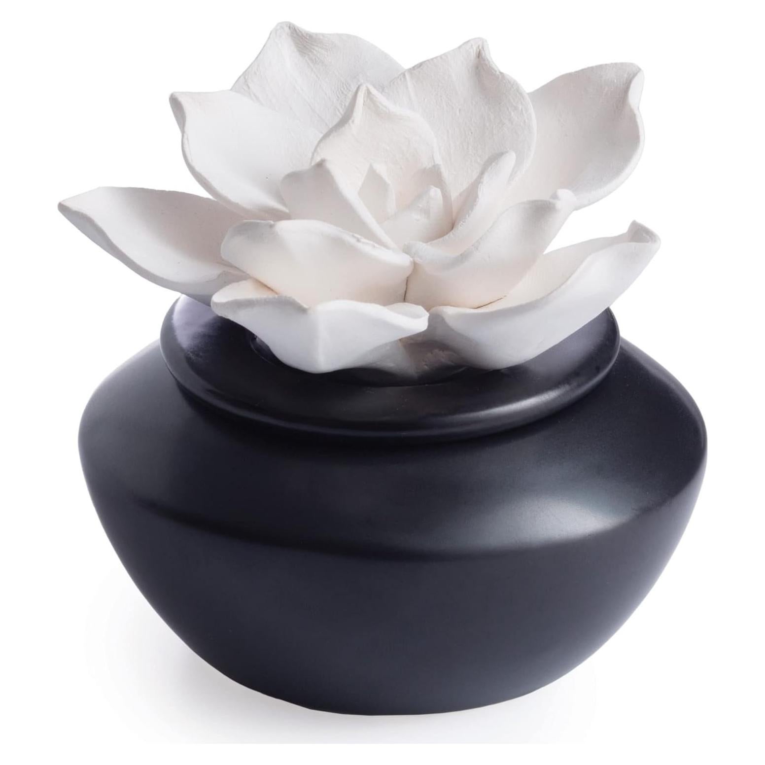 Difusor de Aceite Esencial Airomé PDGAR con 15ml Menta