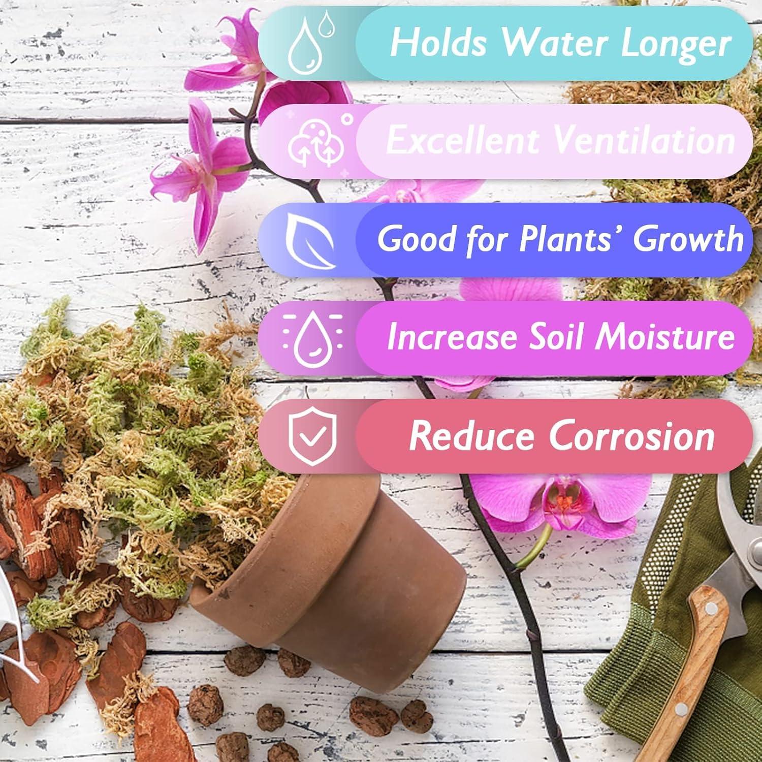 Musgo Sphagnum Premium Halatool 85 g para Plantas 4 qt