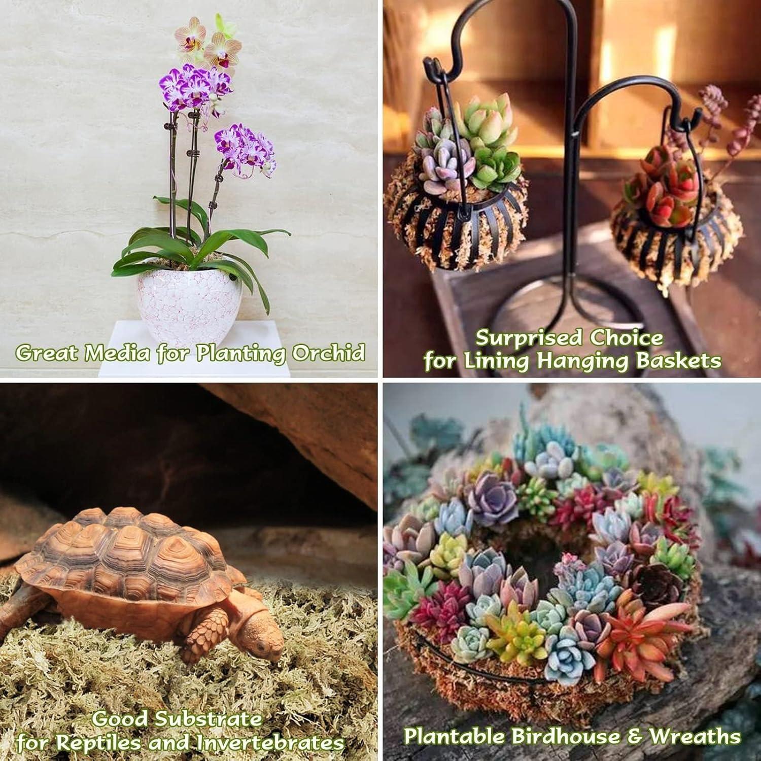 Musgo Sphagnum Premium Halatool 85 g para Plantas 4 qt