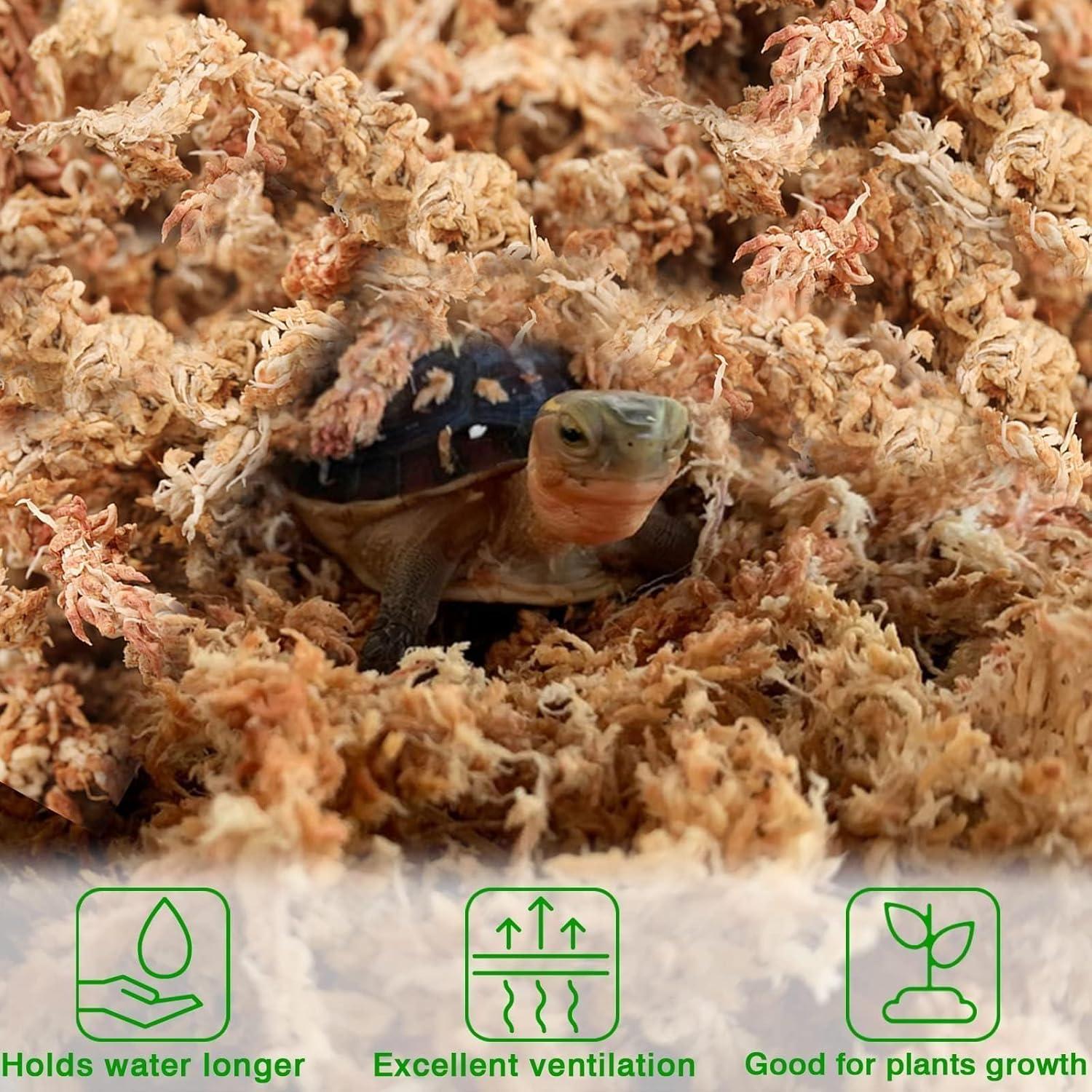 Musgo Sphagnum Premium Halatool 85 g para Plantas 4 qt