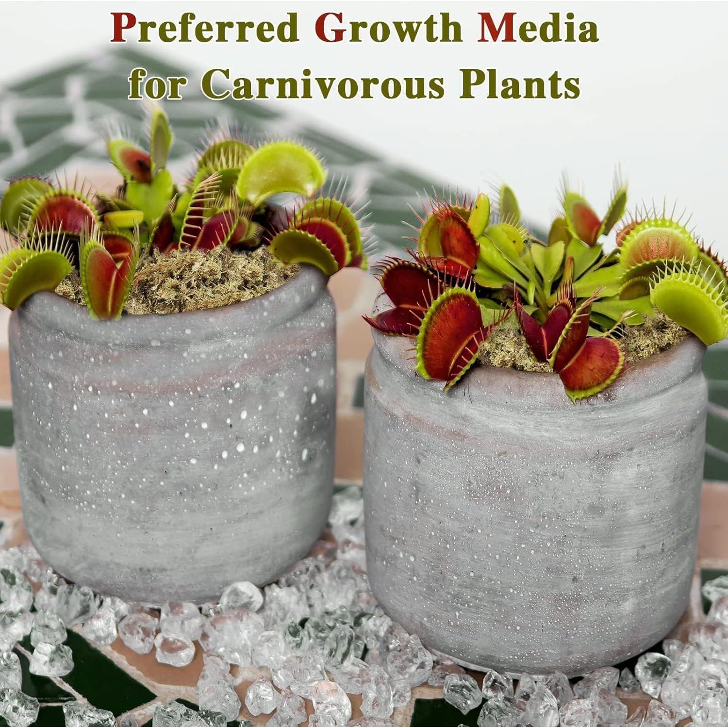 Musgo Sphagnum Premium Halatool 85 g para Plantas 4 qt