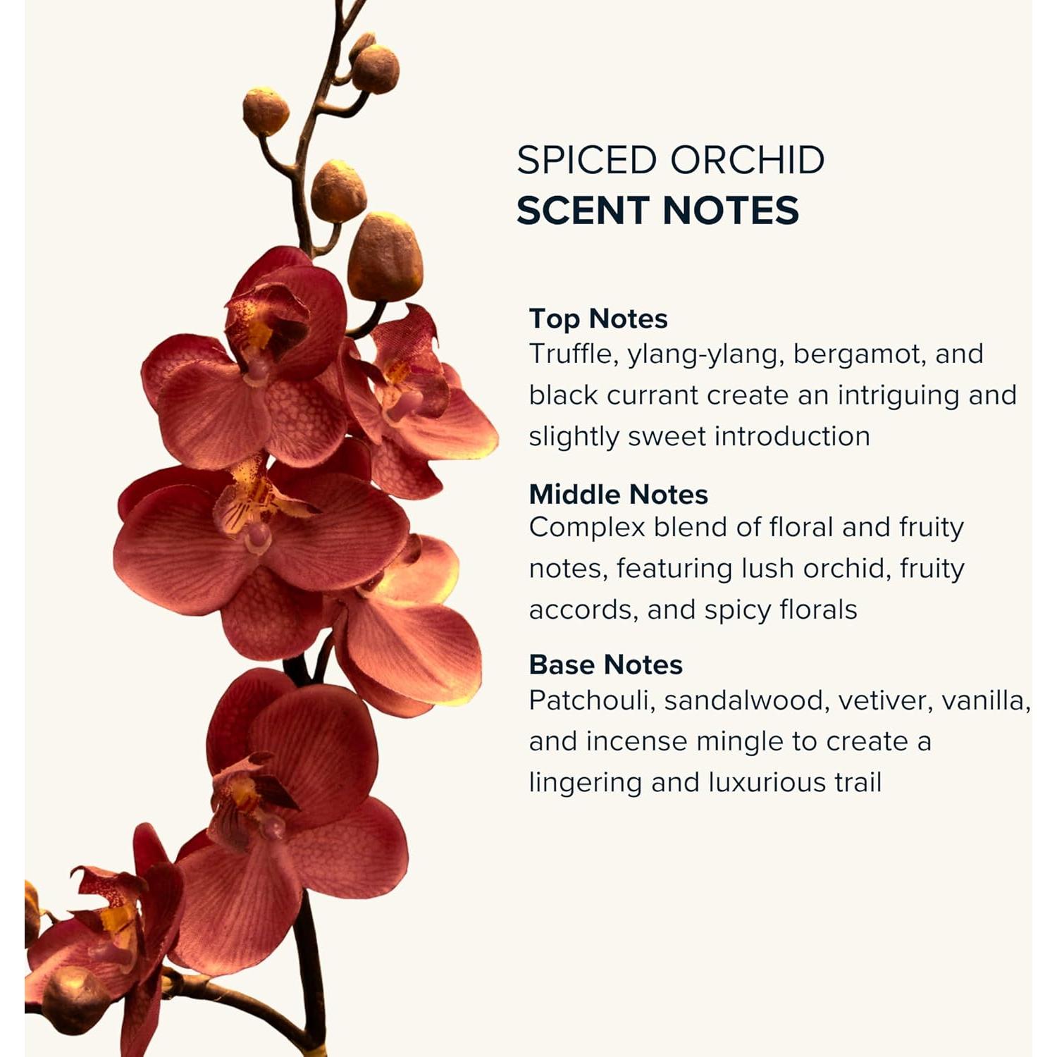 Aceite de Perfume Roll On Anthology Orquídea Especiada 9 ML