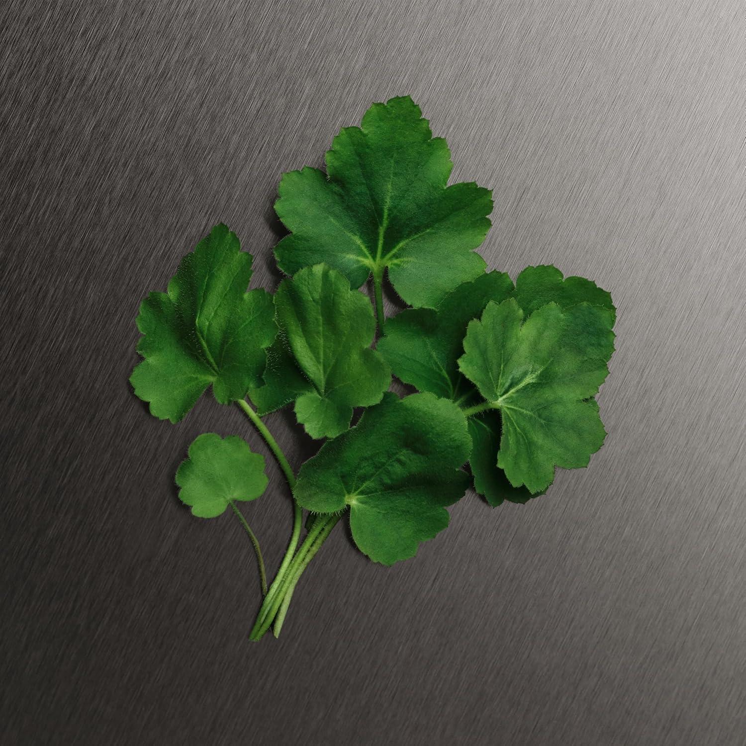 Desodorante en Spray Calvin Klein Eternity 156.9 ml para Hombres