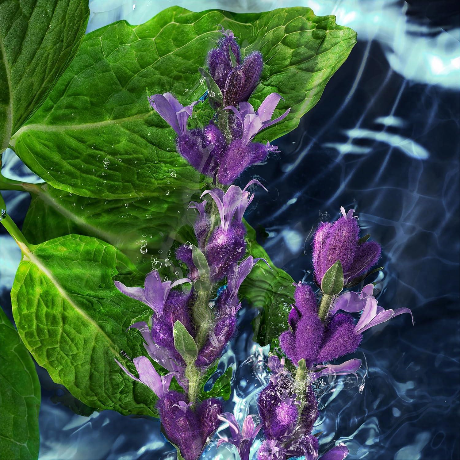 Desodorante en barra Davidoff Cool Water 74.9 ml para hombres