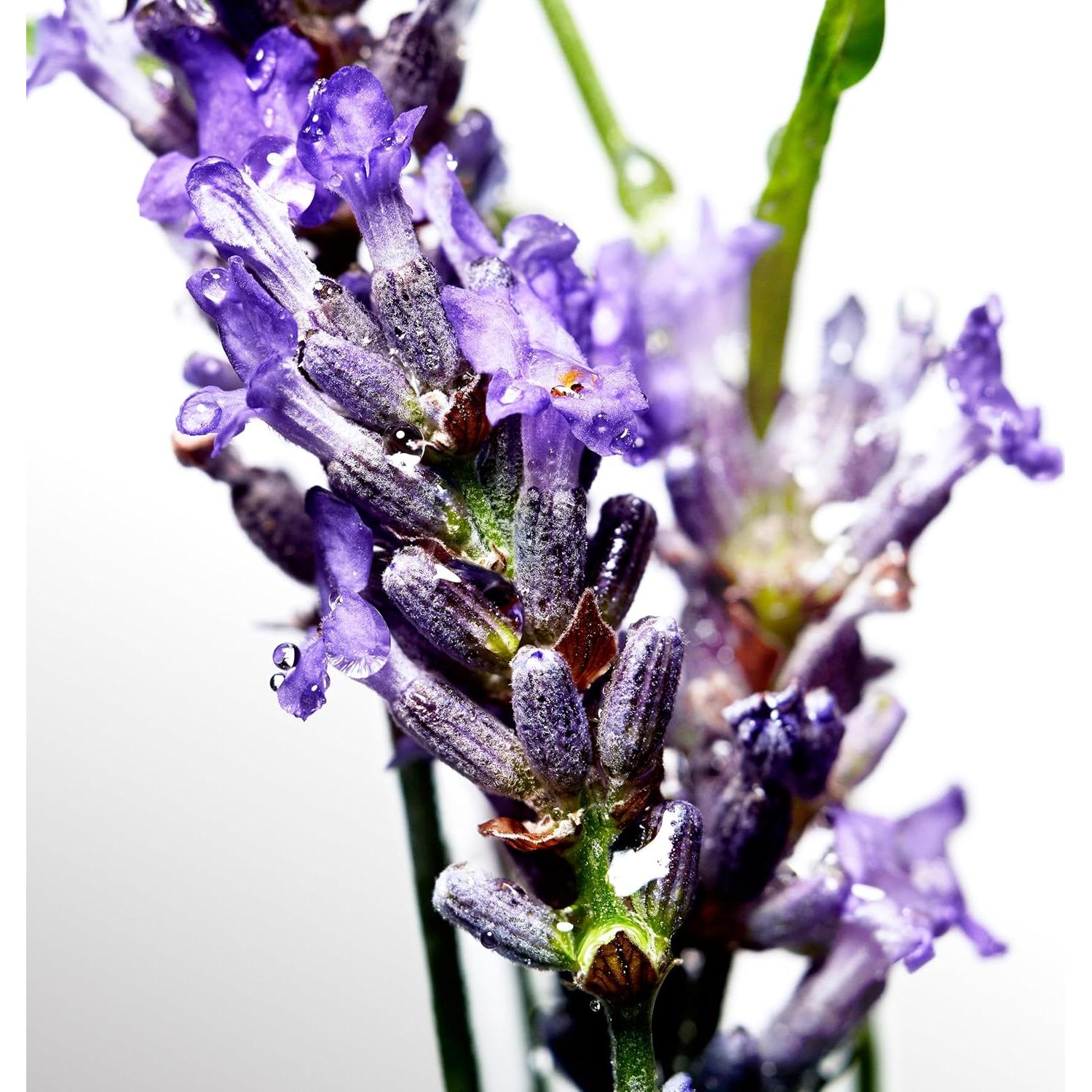 Desodorante en barra Davidoff Cool Water 74.9 ml para hombres