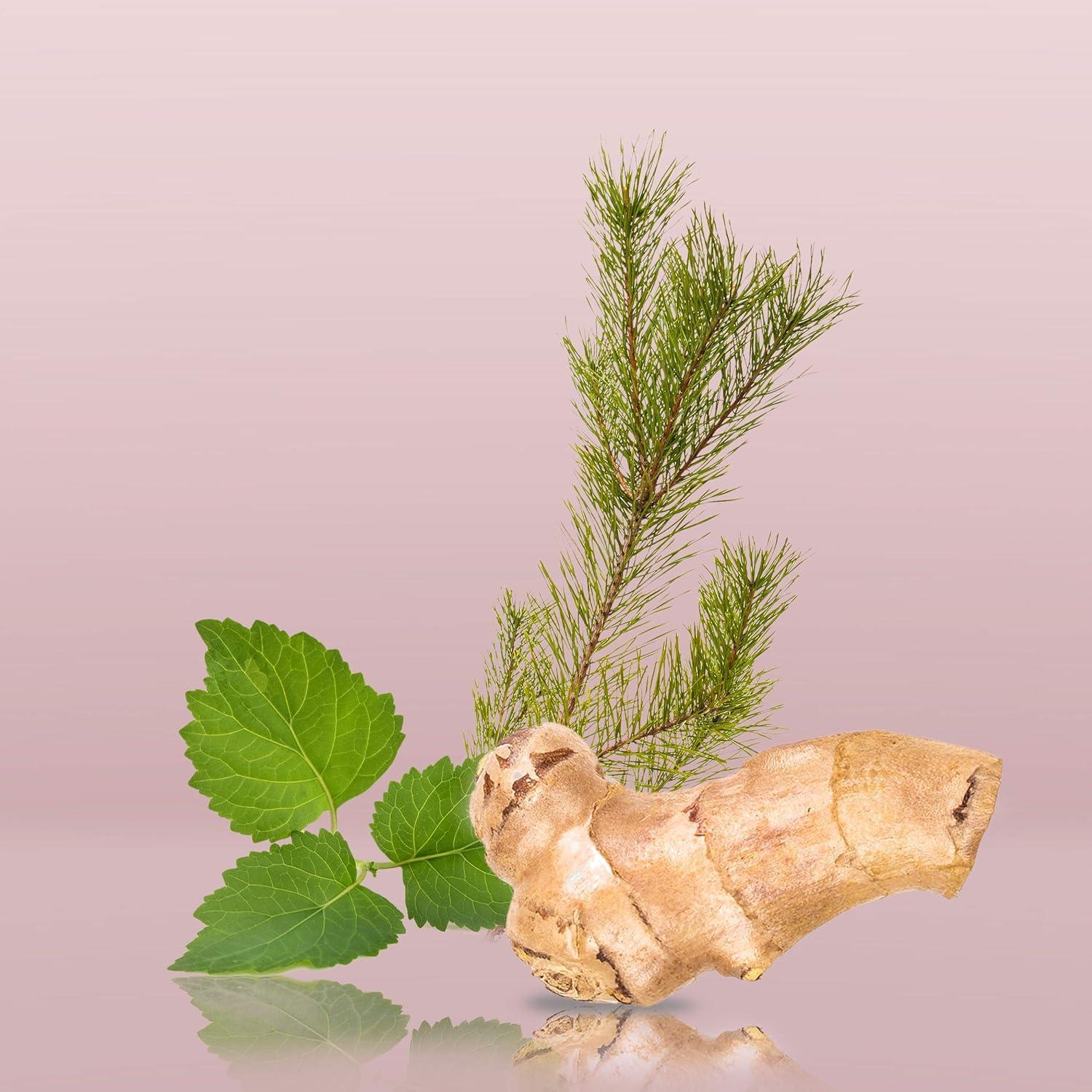 Calvin Klein Euphoria 100 ml - Colonia Chypre para hombres