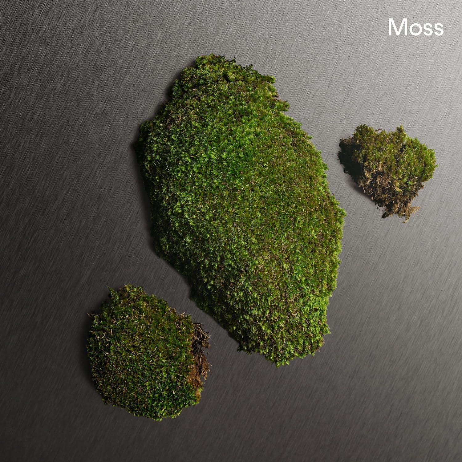 Aftershave Calvin Klein Eternity Hombre 295g - Notas de Bergamota