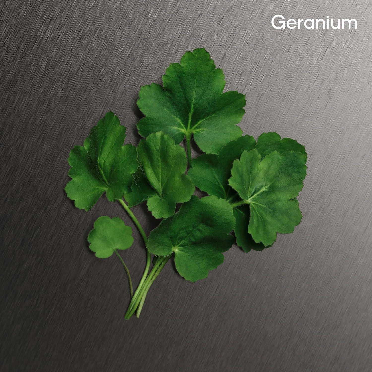 Aftershave Calvin Klein Eternity Hombre 295g - Notas de Bergamota