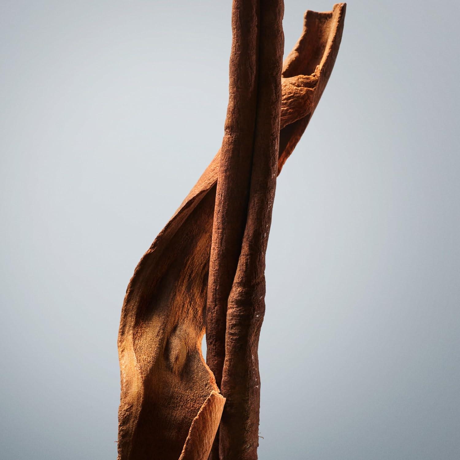 Desodorante en Barra Hugo Boss Bottled 68g para Hombres