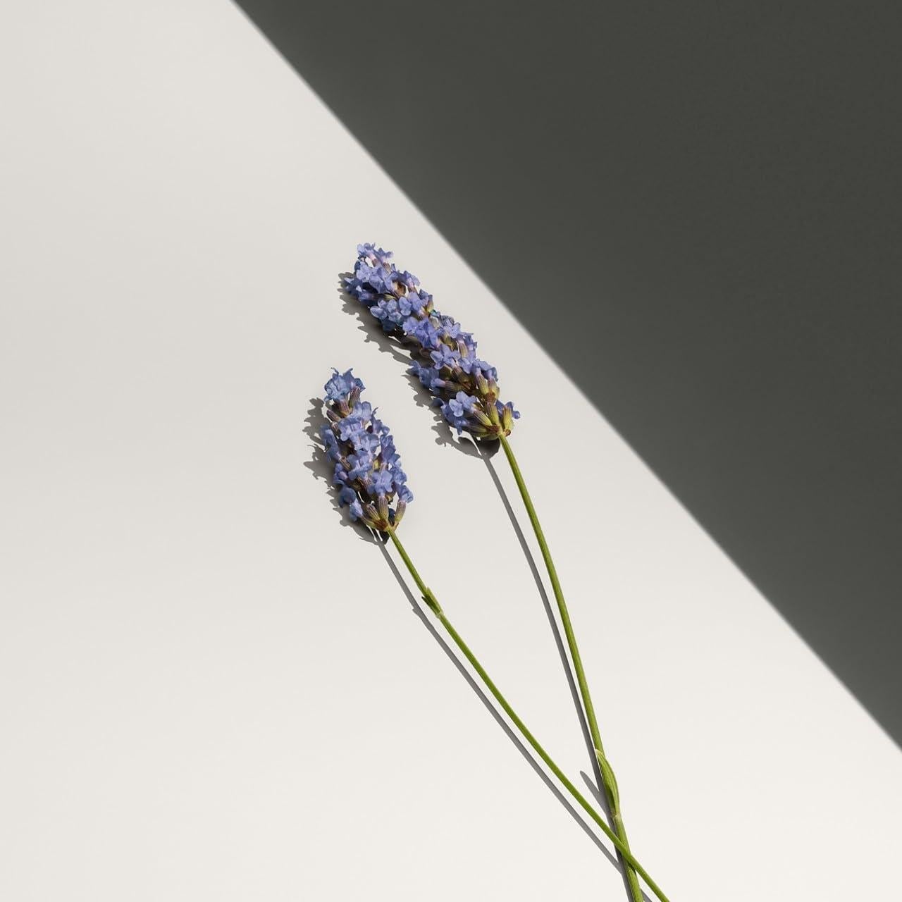 Desodorante en barra Calvin Klein Defy 74g - Fresco y Masculino