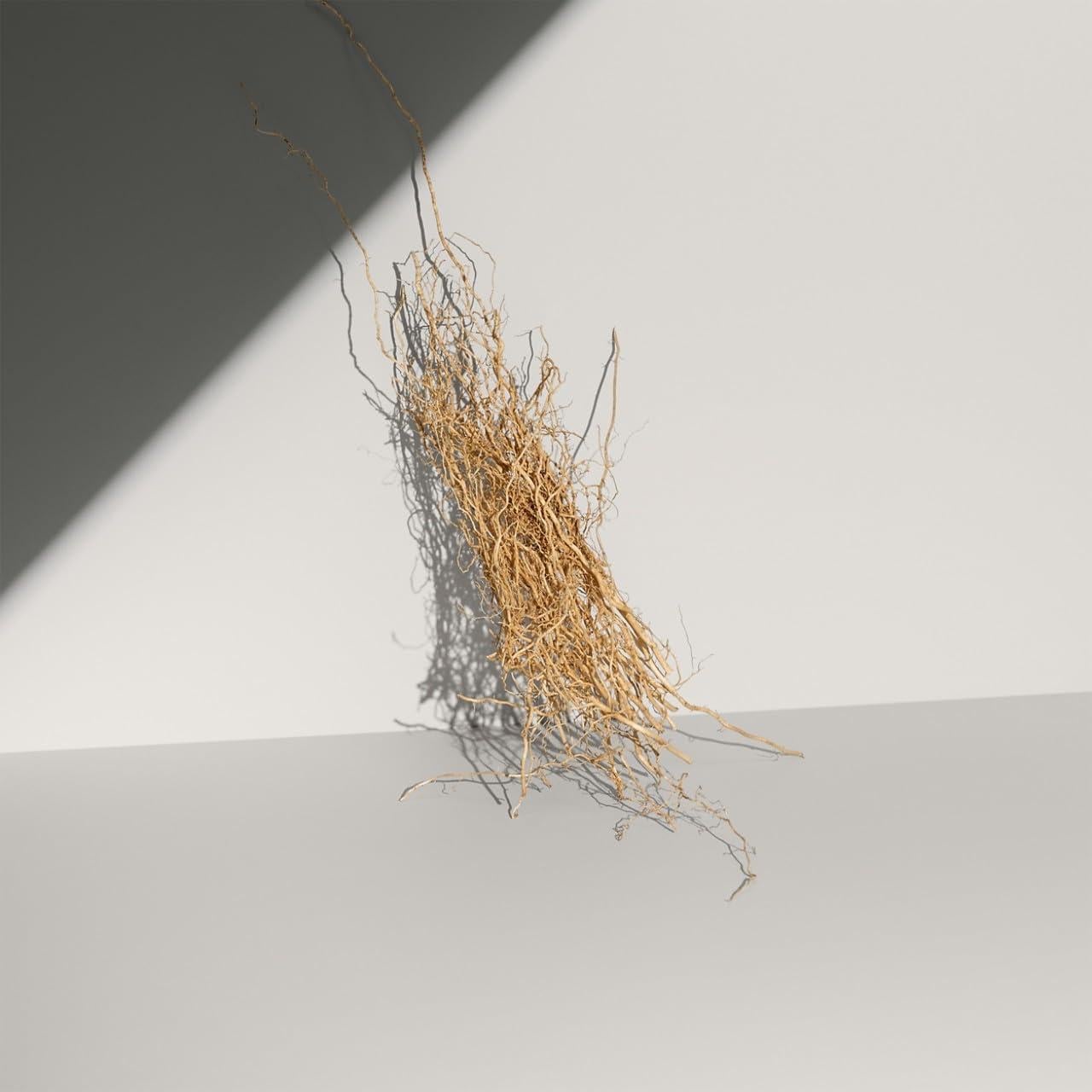 Desodorante en barra Calvin Klein Defy 74g - Fresco y Masculino