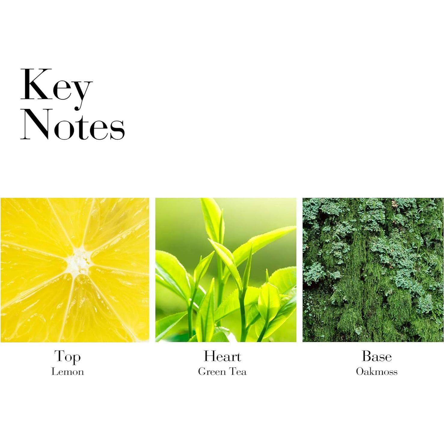 Loción Corporal Hidratante Elizabeth Arden Té Verde 200 ml