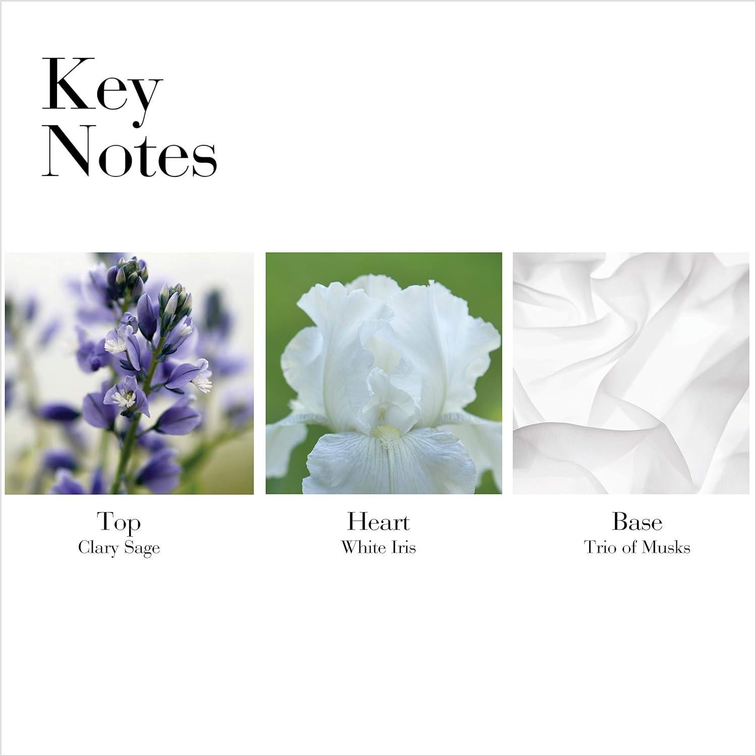 Desodorante Crema Elizabeth Arden Té Blanco 42.5 g