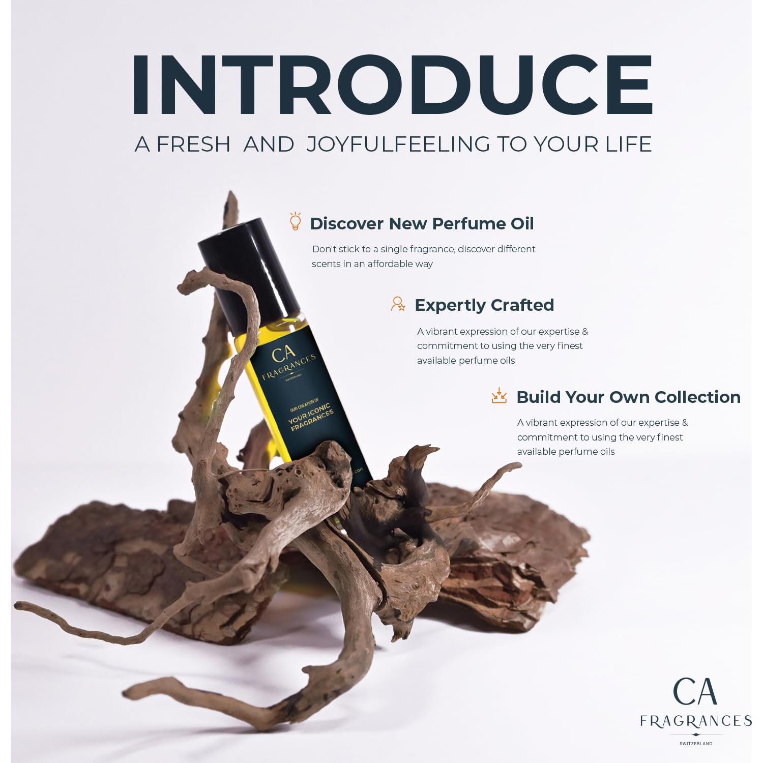 Aceite de Fragancia CA Fragancias 10ml Impresión Silver Mountain Aqua