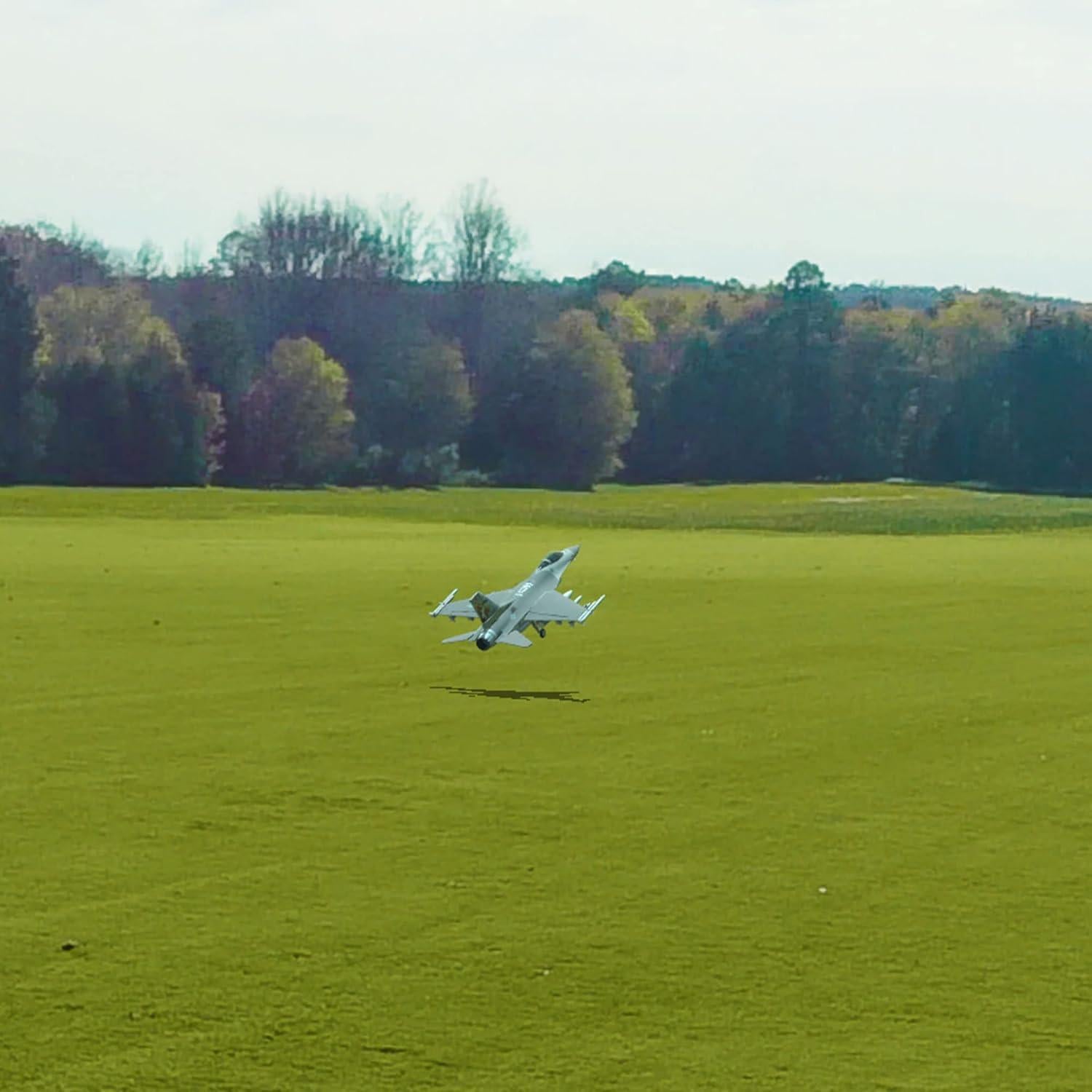 Simulador de Vuelo RC RealFlight Evolution RFL2001 VR Multijugador