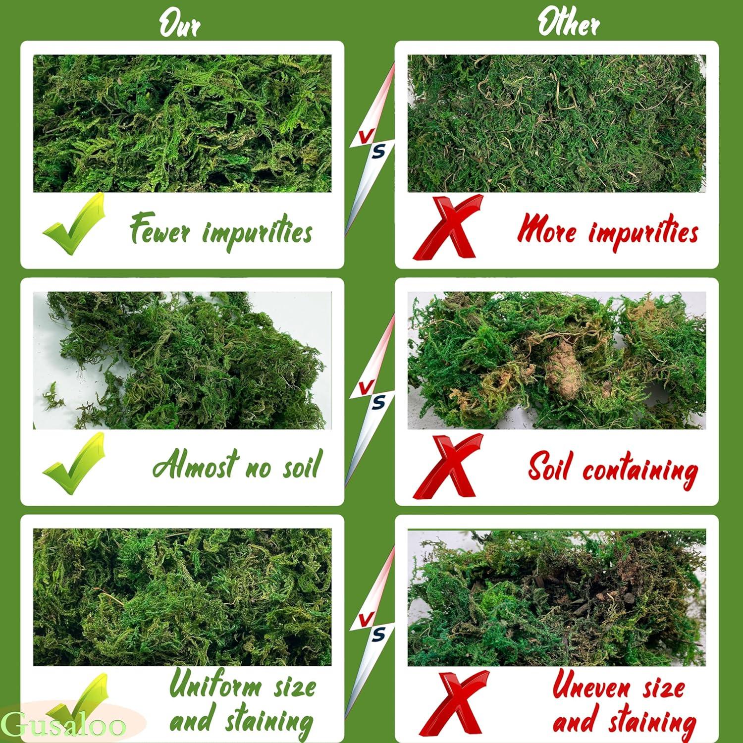 Musgo Seco Gusaloo Verde 100g para Manualidades y Decoración