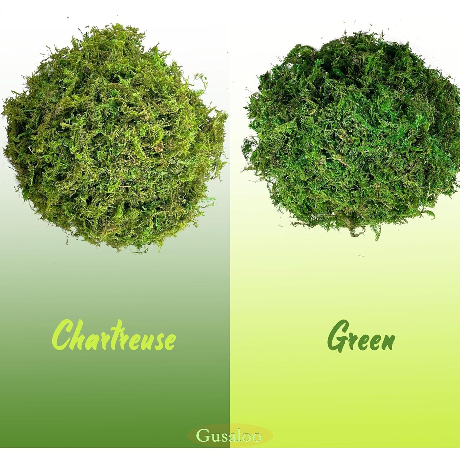 Musgo Seco Gusaloo Verde 100g para Manualidades y Decoración