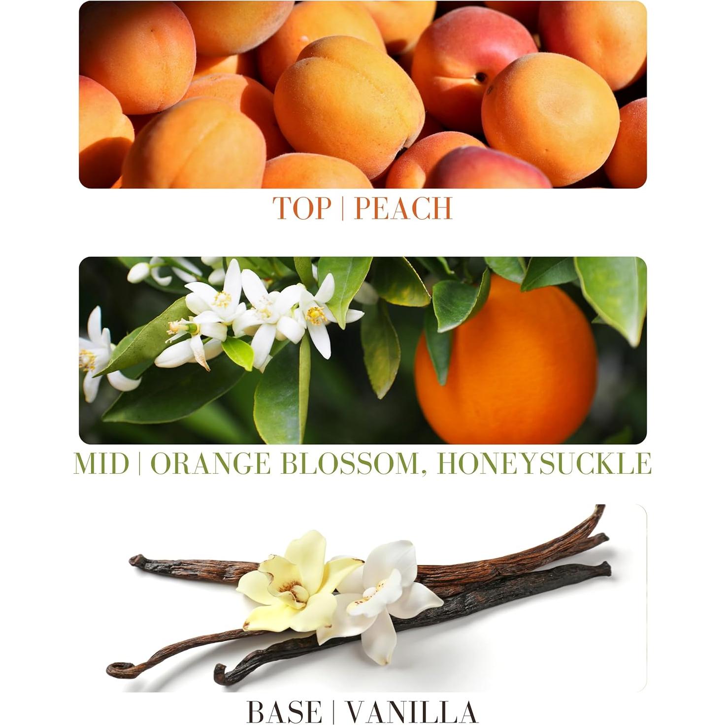 Rocío Natural de Melocotón Kailuna Co. 15 ml Sin Alcohol