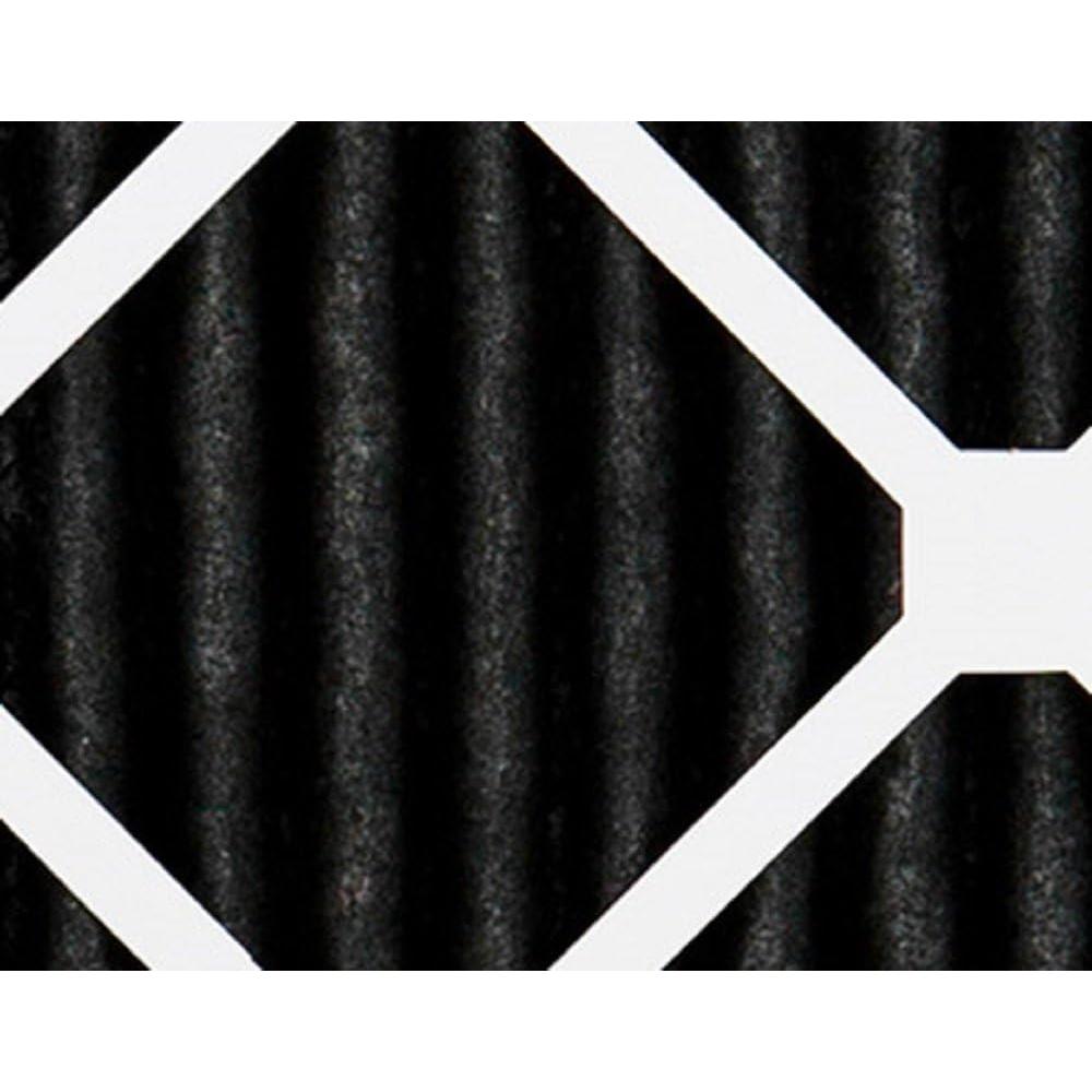 Filtros de Aire Nordic Pure 16x25x1 Carbono Plegados 12 Paquete