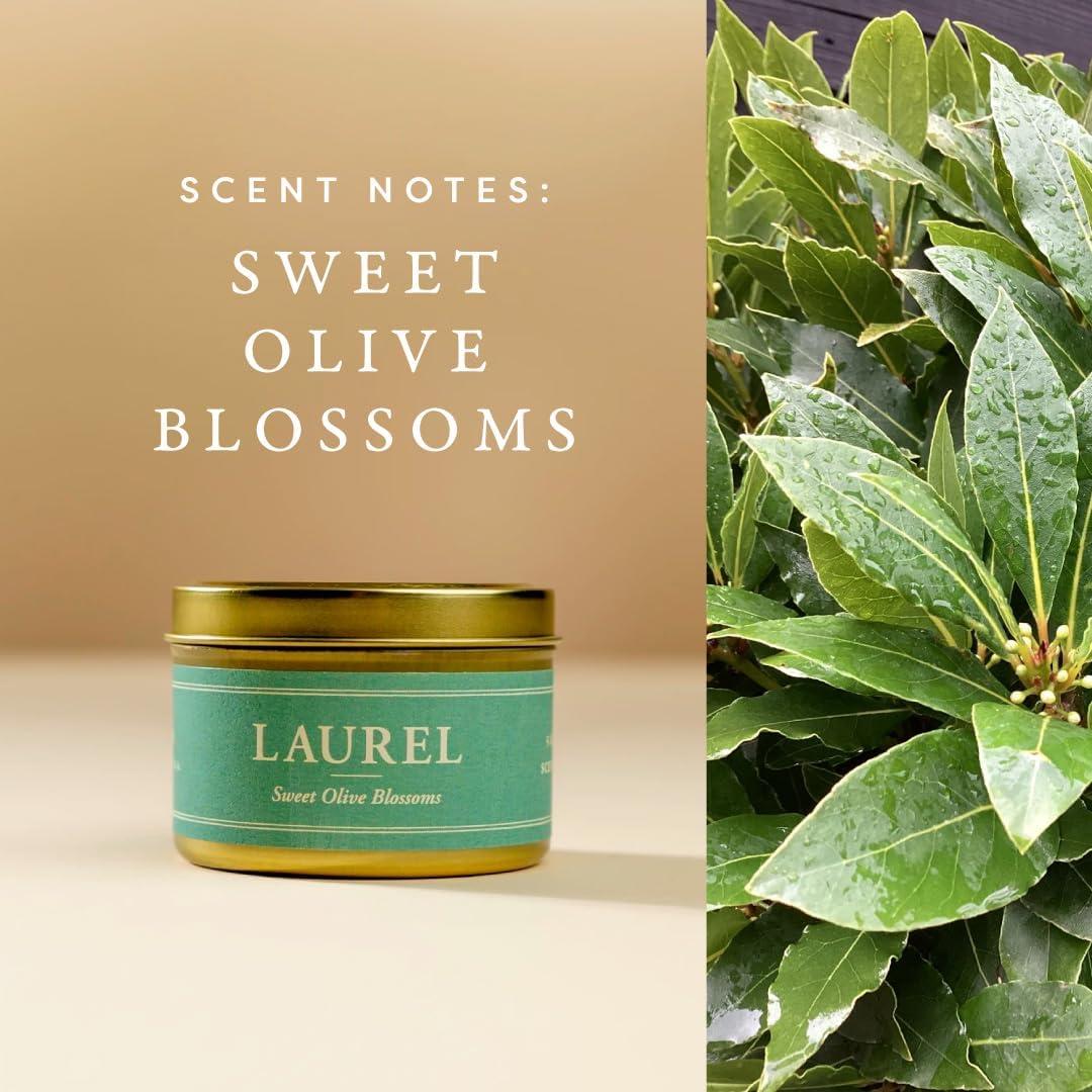 Vela Aromática 5 oz. Erin Napier - Flor de Olivo Dulce