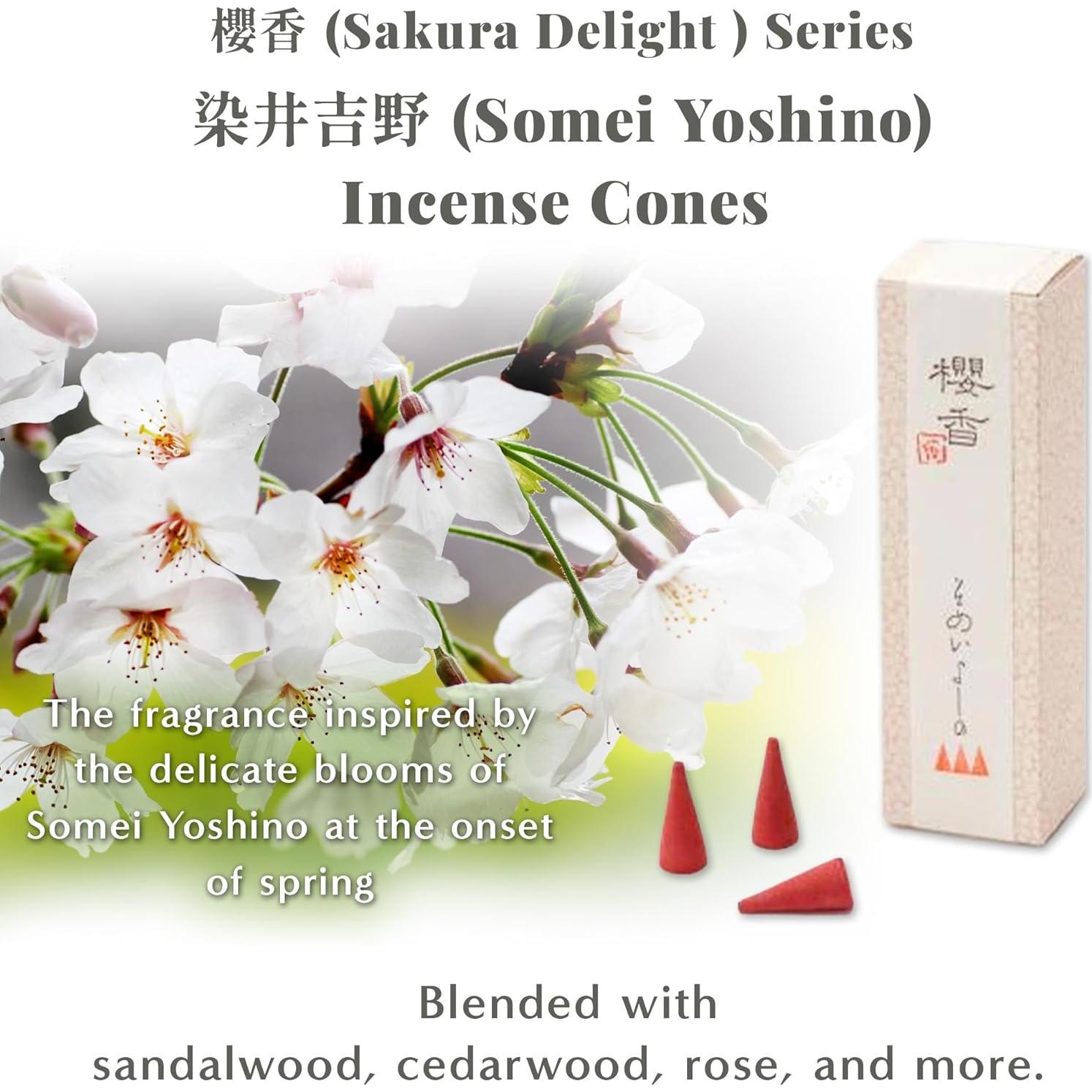 Conos de Incienso Hasegawa Sakura - Flor de Cerezo Japonés, 15 Unidades